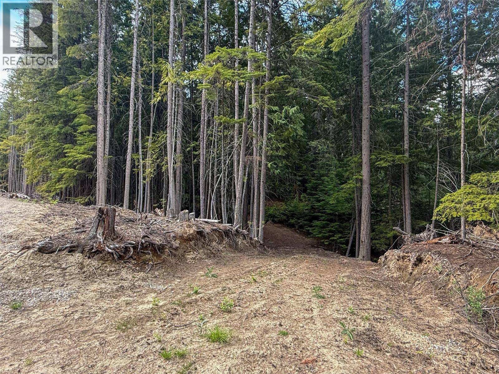 3945 Saunders Road, Passmore, British Columbia  V0G 2J0 - Photo 4 - 10395877
