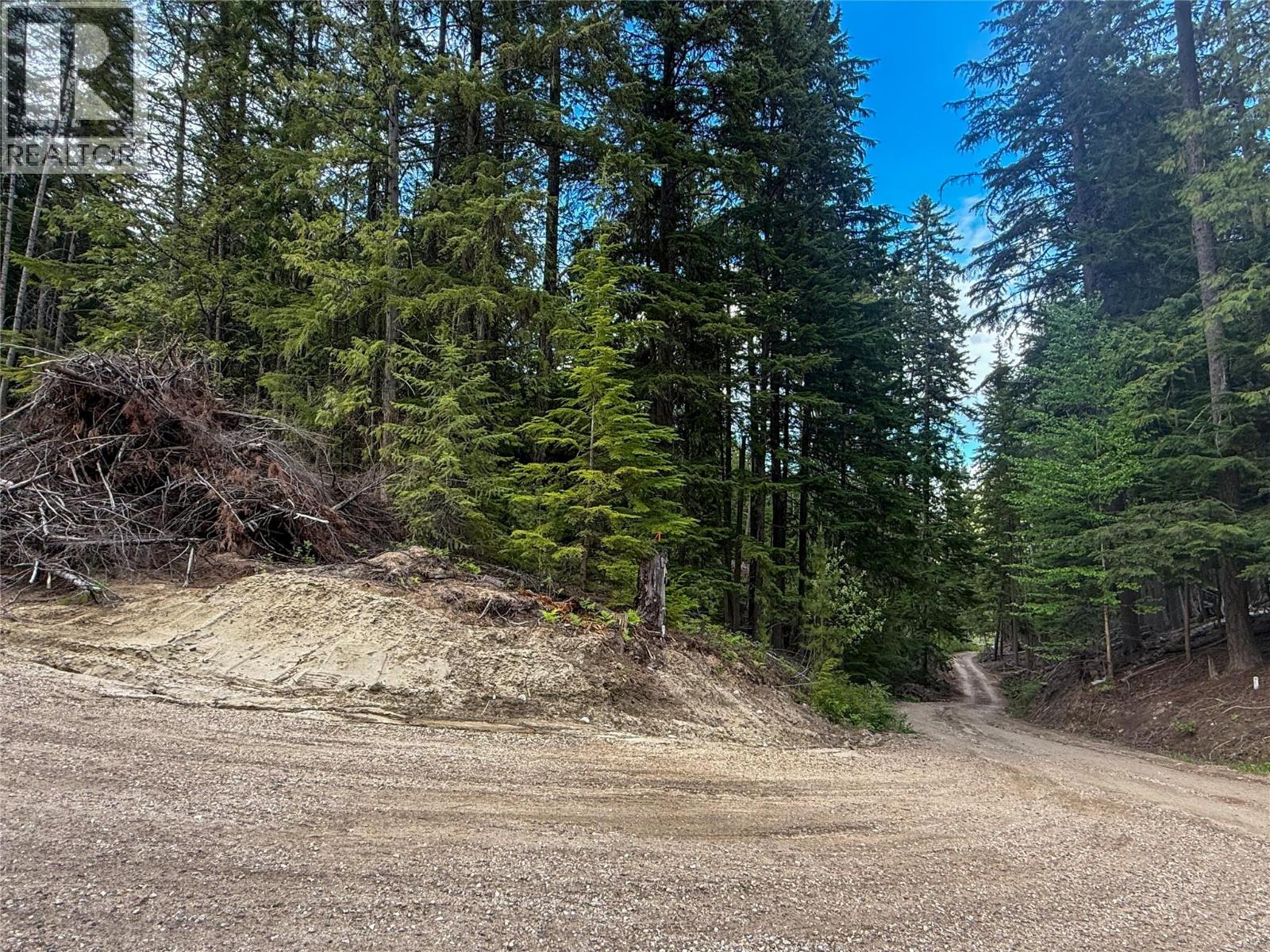 3945 Saunders Road, Passmore, British Columbia  V0G 2J0 - Photo 5 - 10395877