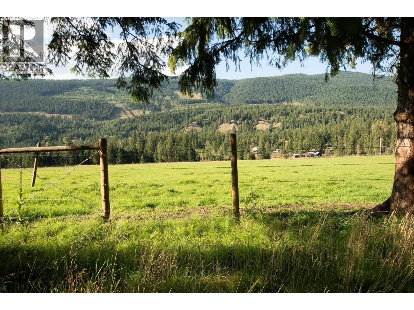2460 Pye Road Road, Clearwater, British Columbia  V0E 1N1 - Photo 29 - 10397742