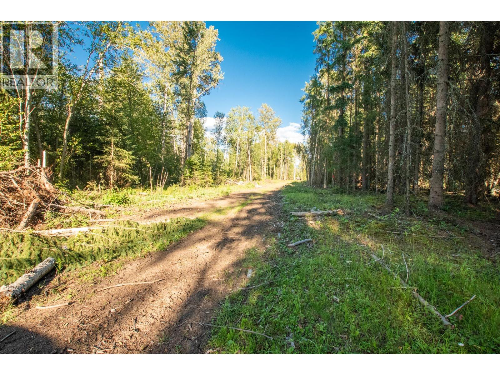2460 Pye Road Road, Clearwater, British Columbia  V0E 1N1 - Photo 31 - 10397742
