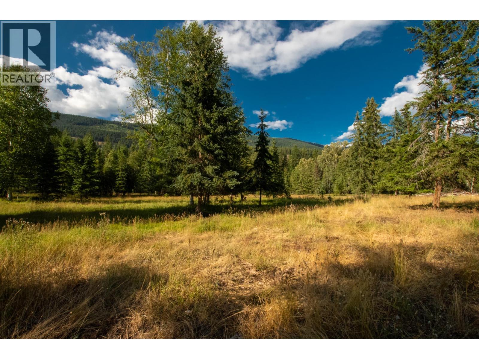 2460 Pye Road Road, Clearwater, British Columbia  V0E 1N1 - Photo 34 - 10397742