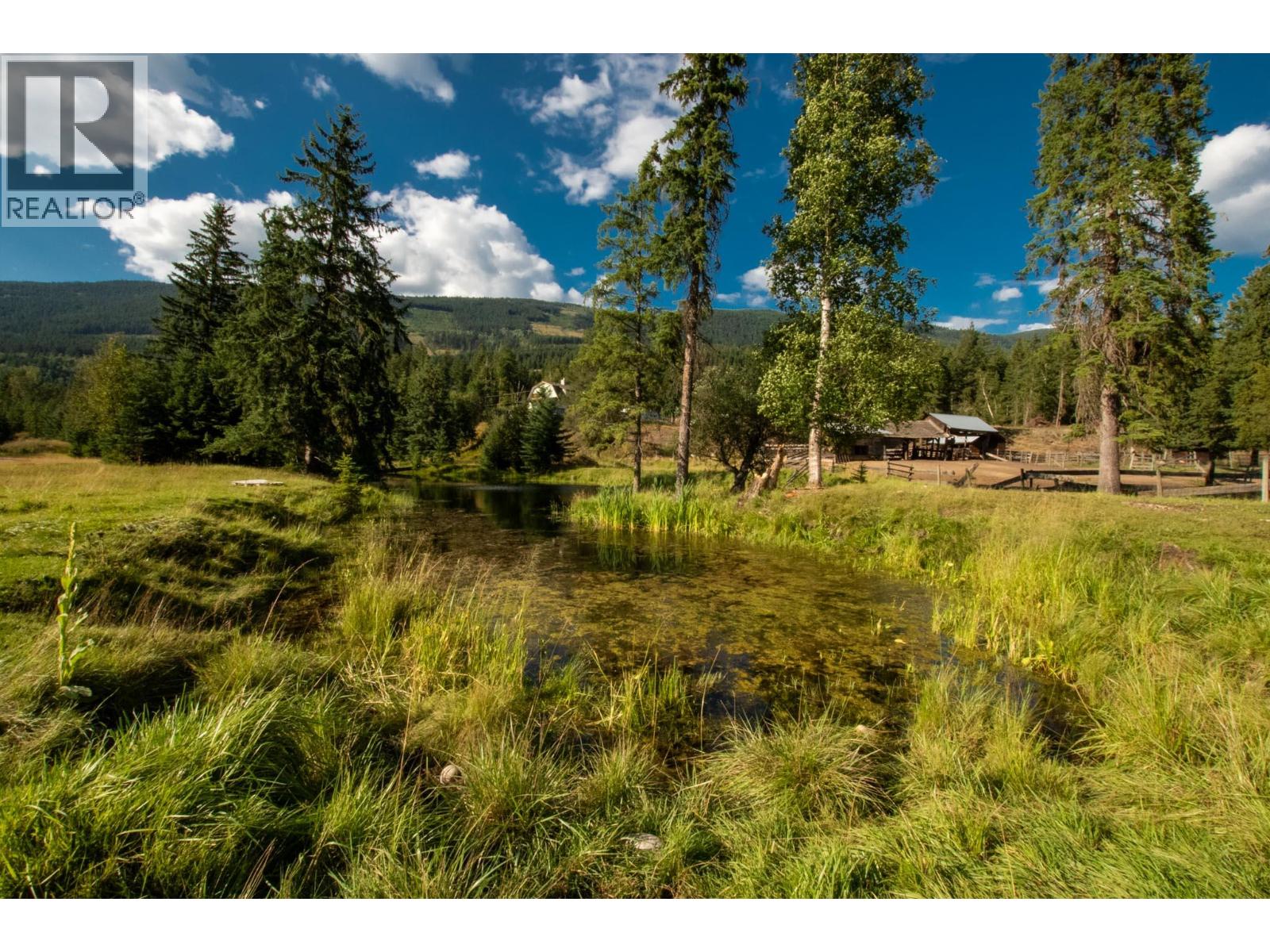 2460 Pye Road Road, Clearwater, British Columbia  V0E 1N1 - Photo 39 - 10397742