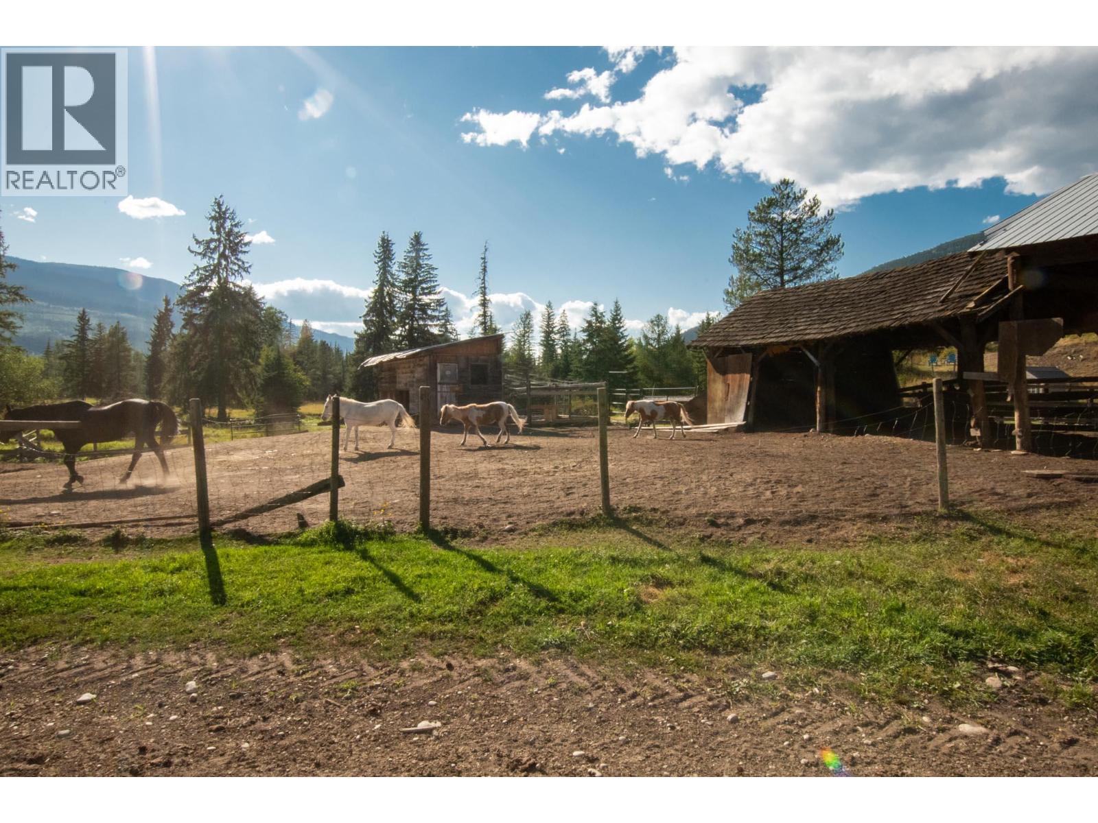 2460 Pye Road Road, Clearwater, British Columbia  V0E 1N1 - Photo 50 - 10397742