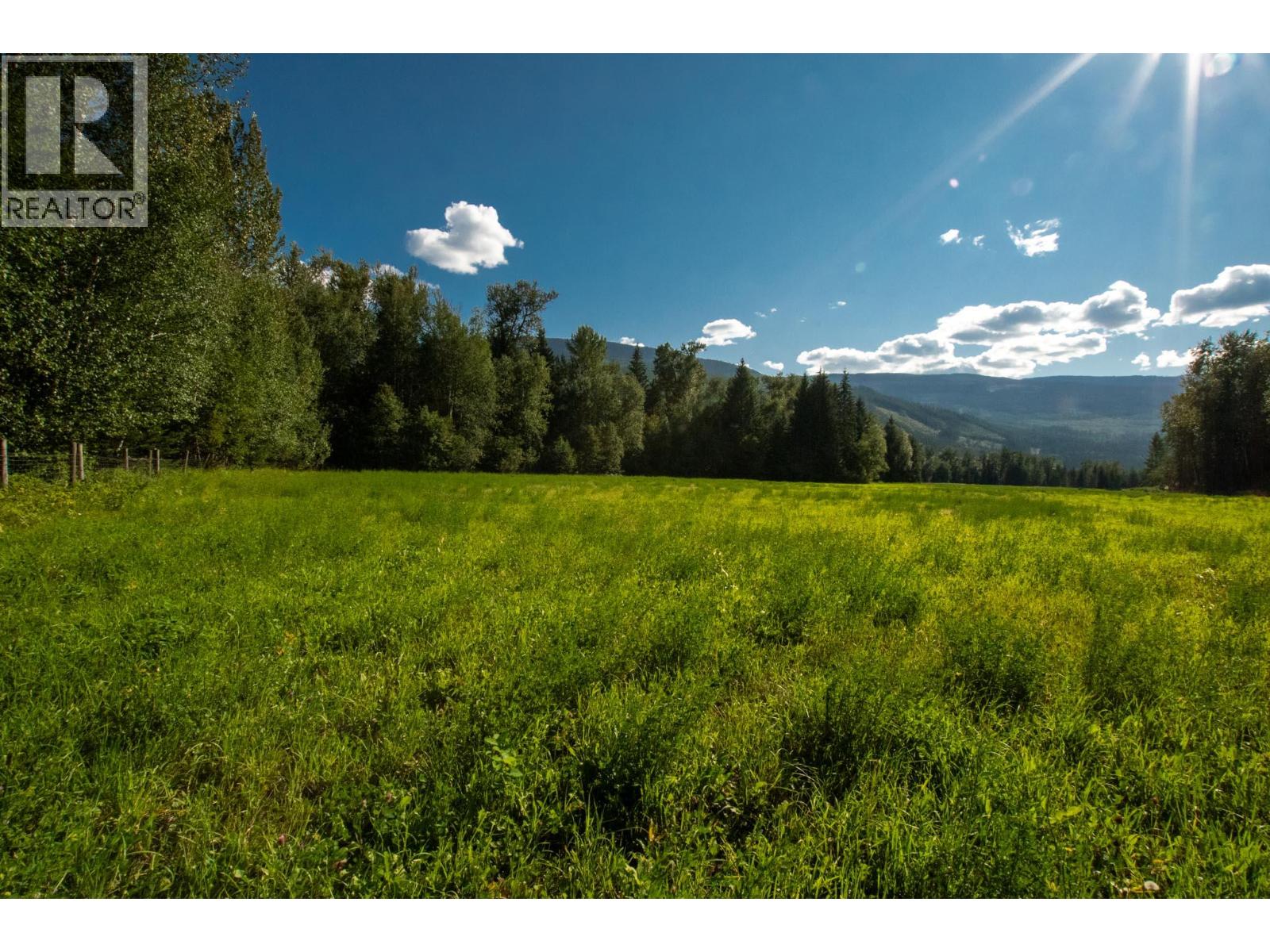 2460 Pye Road Road, Clearwater, British Columbia  V0E 1N1 - Photo 56 - 10397742