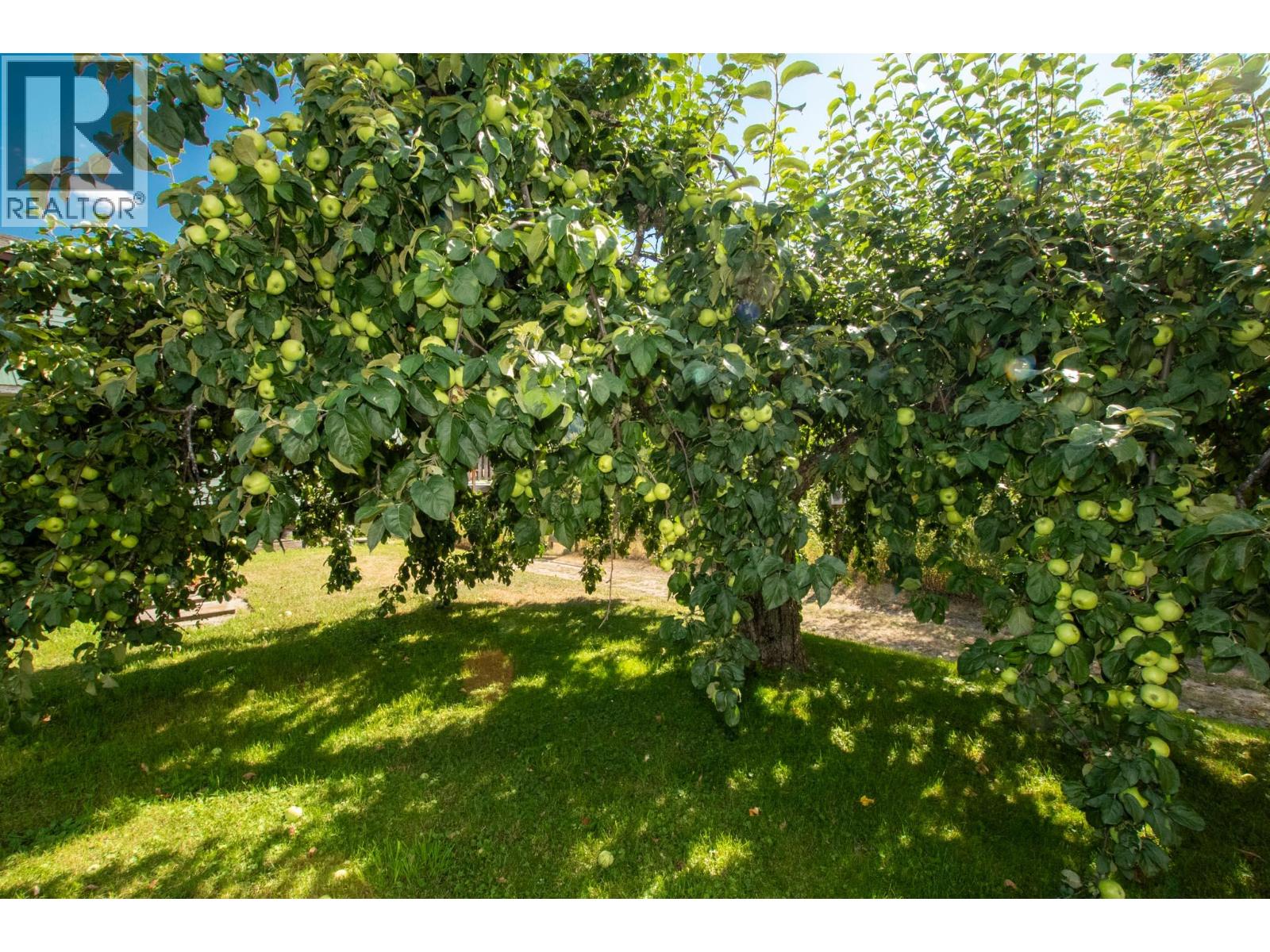 2460 Pye Road Road, Clearwater, British Columbia  V0E 1N1 - Photo 65 - 10397742