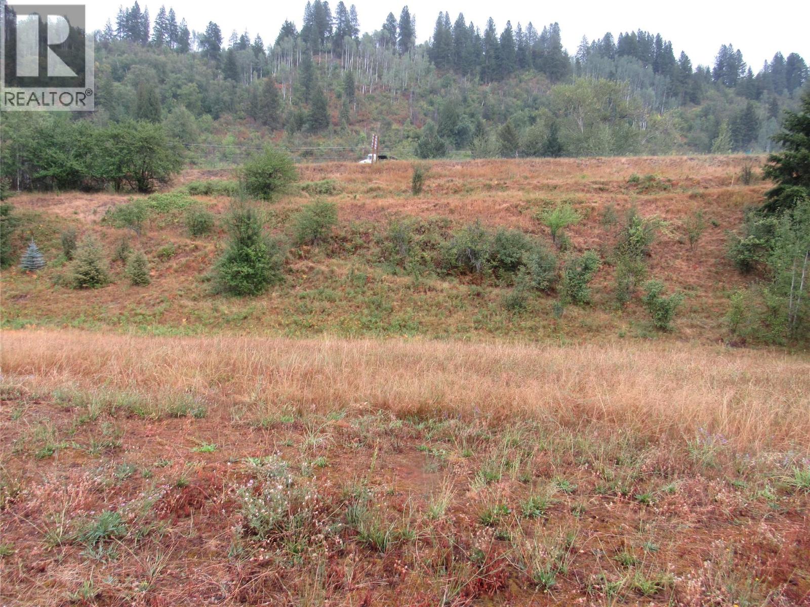 Lot 5 Pearson Road, Castlegar, British Columbia  V1N 4L2 - Photo 1 - 10397113