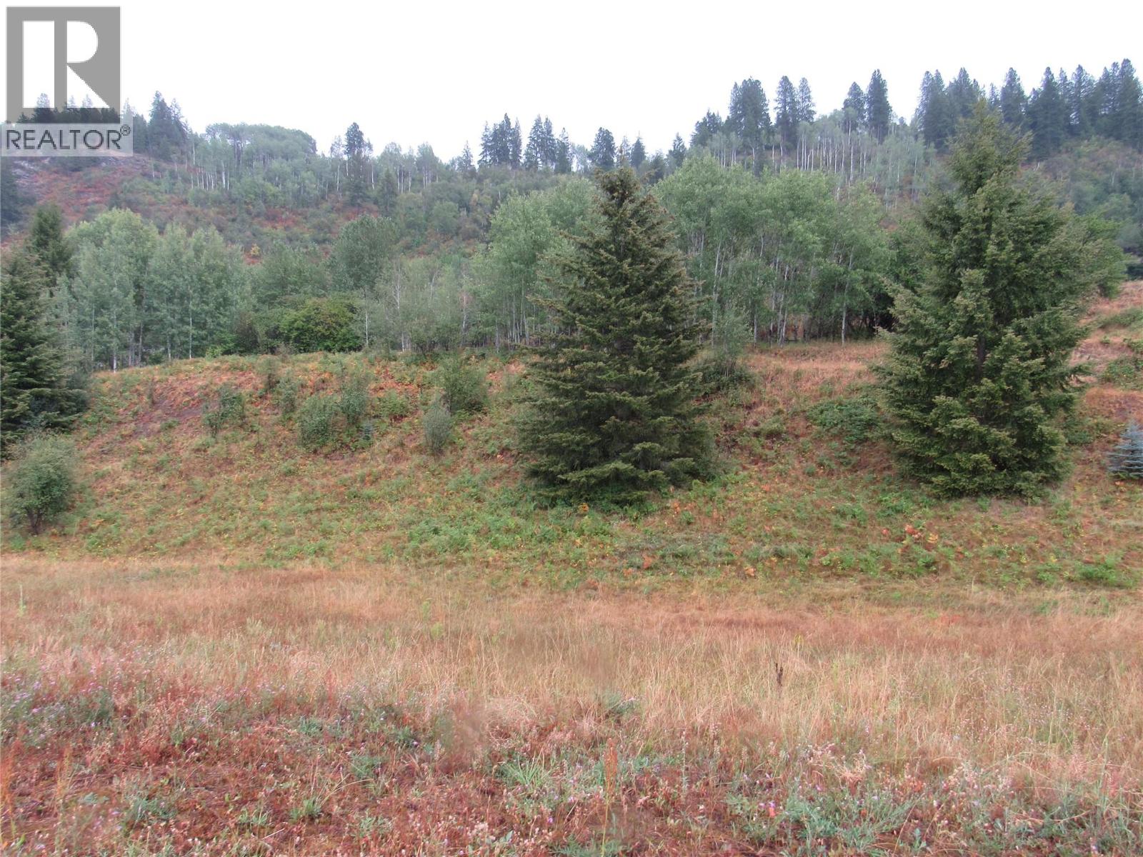Lot 4 Pearson Road, Castlegar, British Columbia  V1N 4L2 - Photo 1 - 10397111