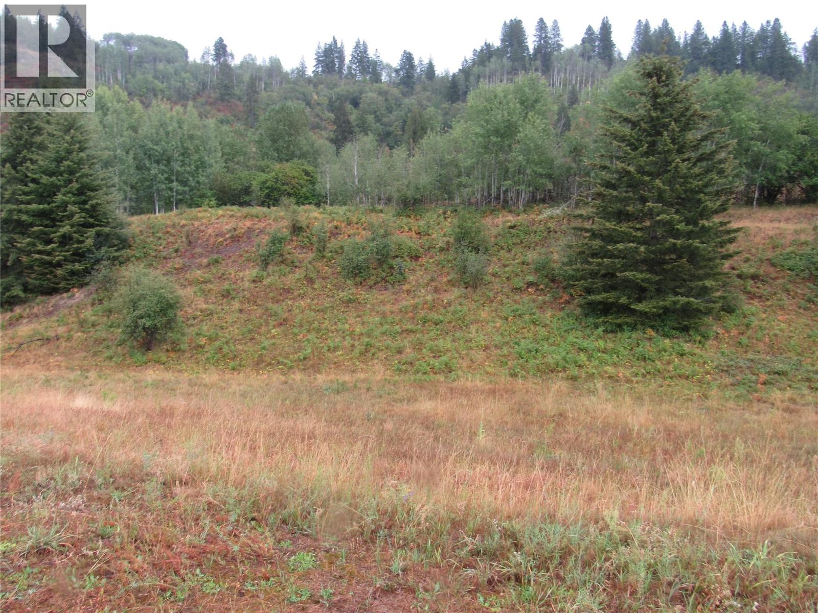 Lot 3 Pearson Road, Castlegar, British Columbia  V1N 4L2 - Photo 1 - 10397100