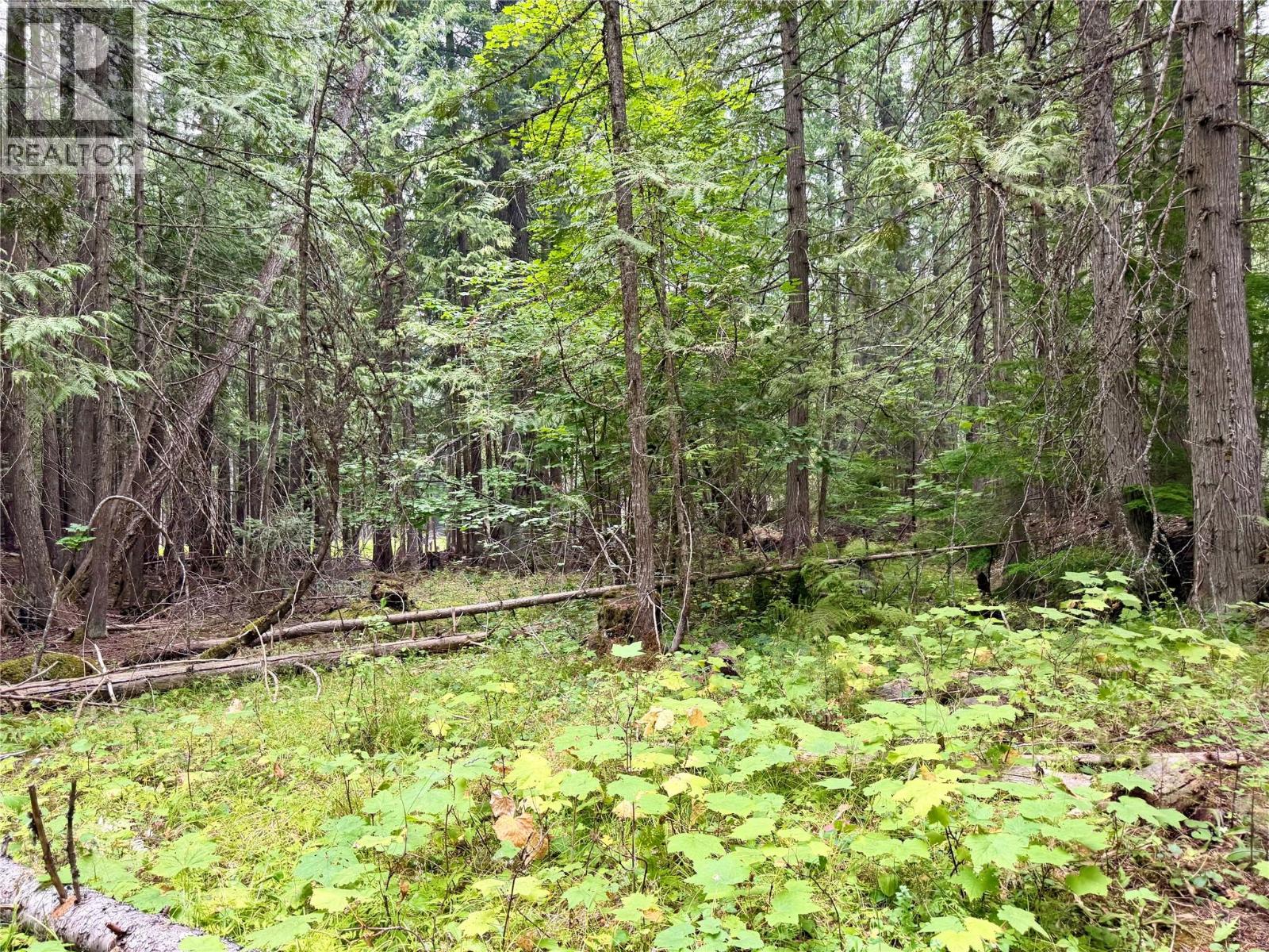 Harrop-Procter Road Lot# E, Procter, British Columbia  V1L 6R4 - Photo 1 - 10397801