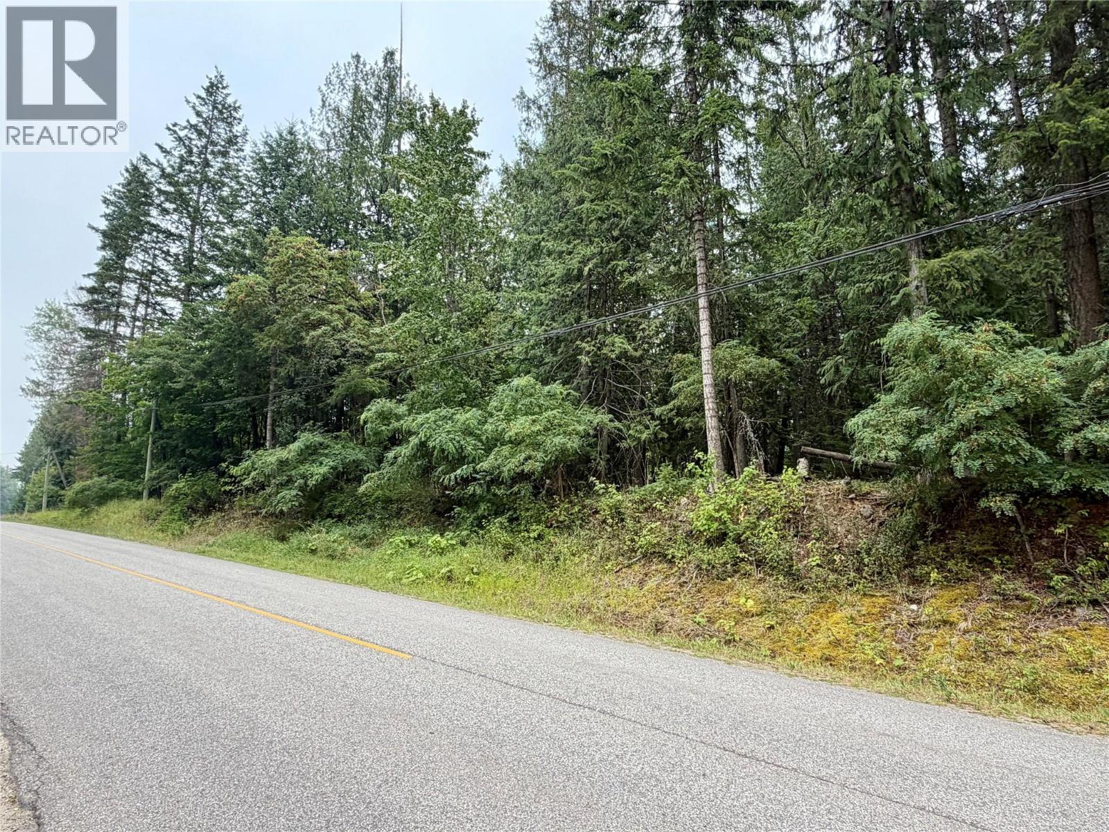 Harrop-Procter Road Lot# E, Procter, British Columbia  V1L 6R4 - Photo 10 - 10397801