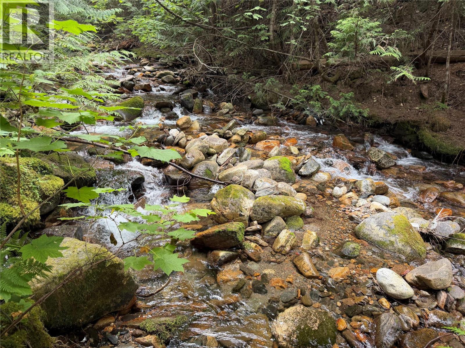 Harrop-Procter Road Lot# E, Procter, British Columbia  V1L 6R4 - Photo 11 - 10397801