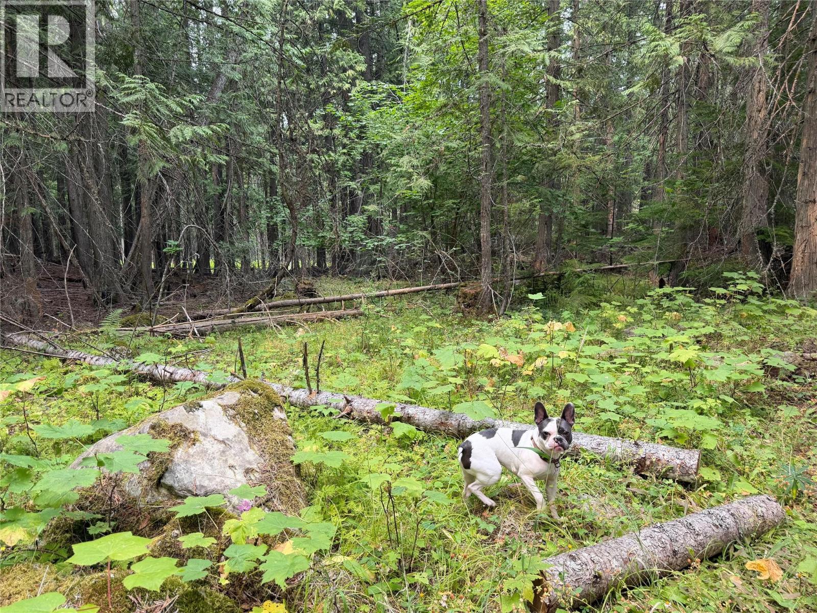 Harrop-Procter Road Lot# E, Procter, British Columbia  V1L 6R4 - Photo 2 - 10397801
