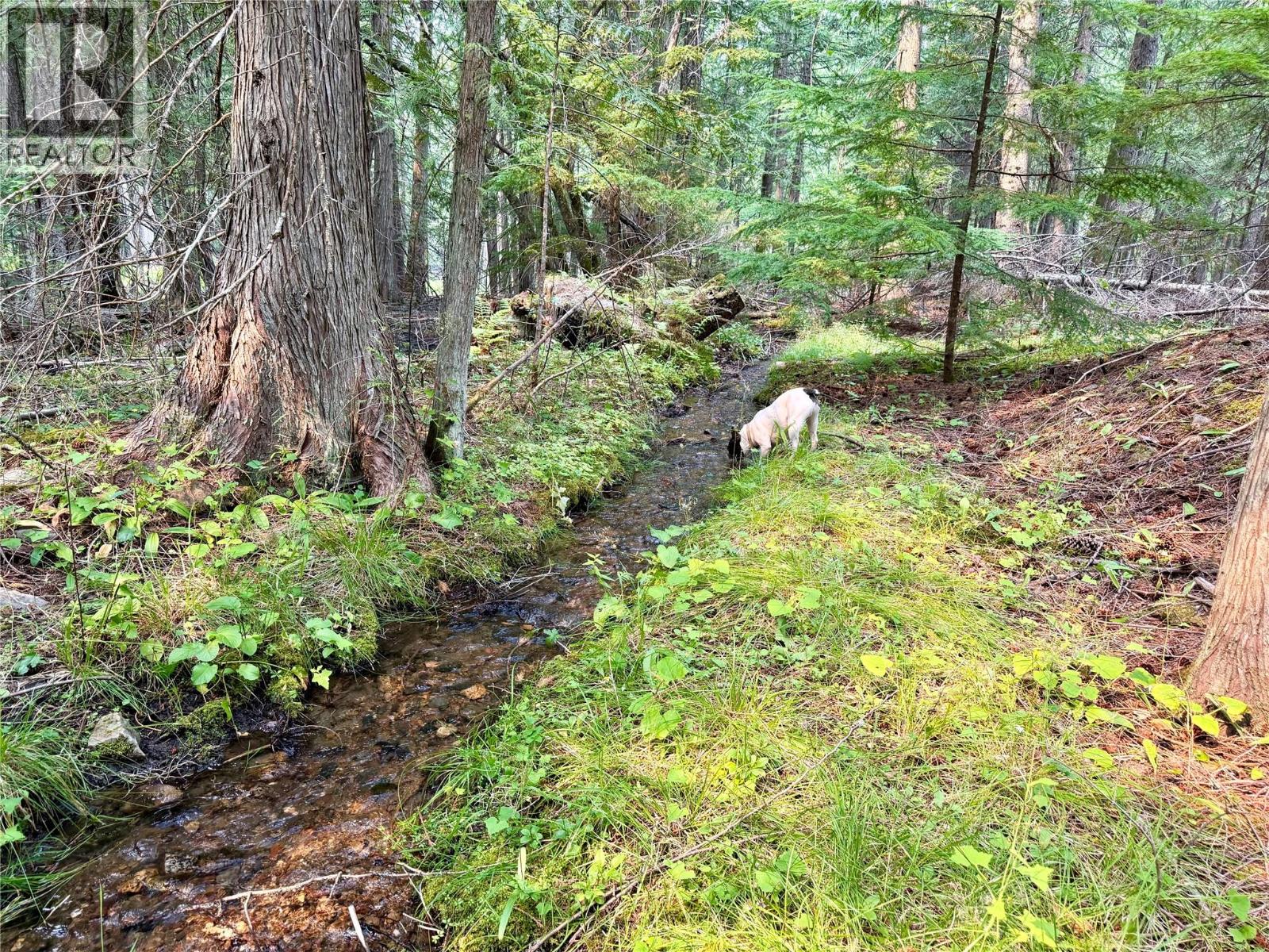 Harrop-Procter Road Lot# E, Procter, British Columbia  V1L 6R4 - Photo 3 - 10397801