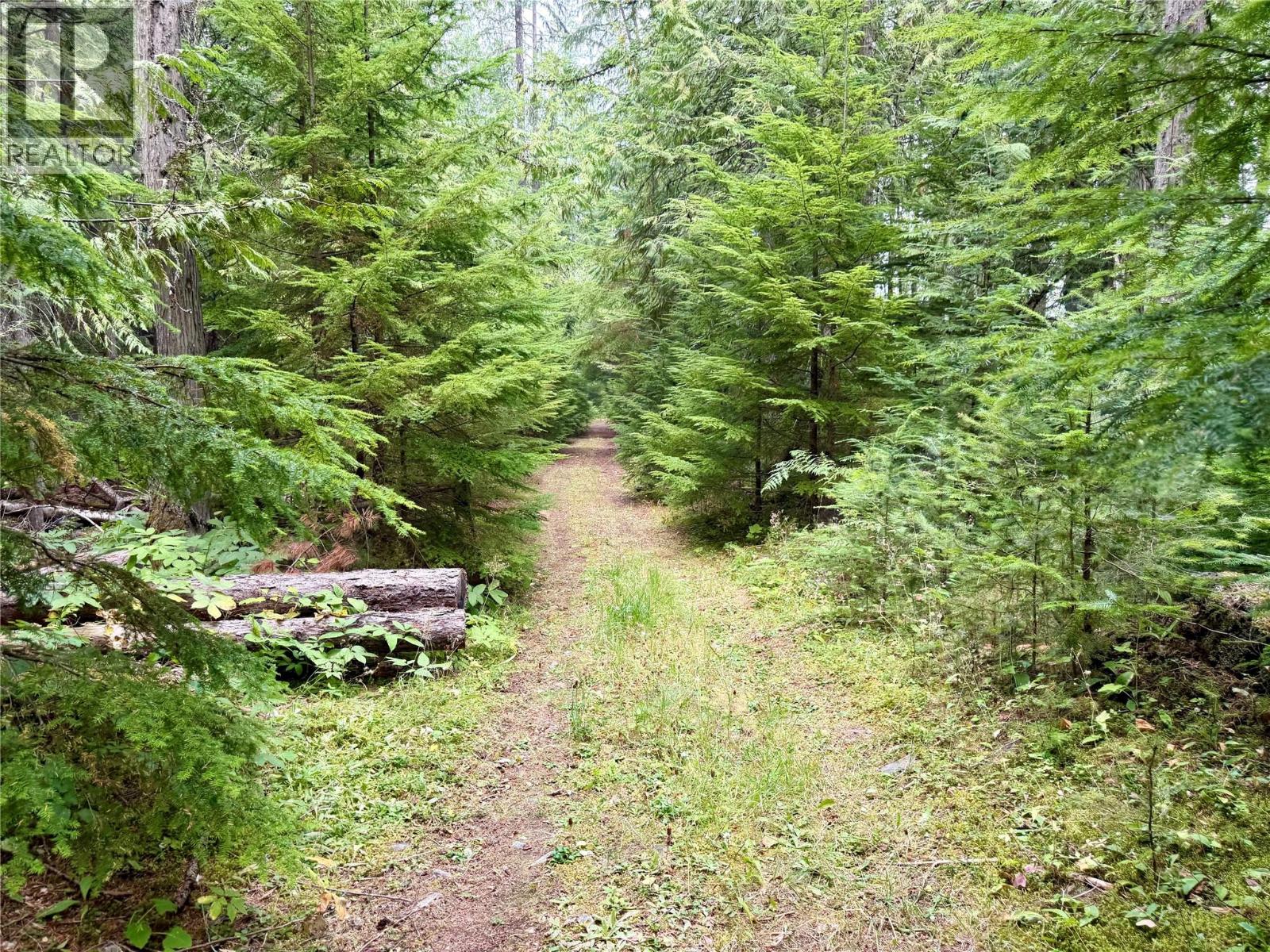 Harrop-Procter Road Lot# E, Procter, British Columbia  V1L 6R4 - Photo 4 - 10397801