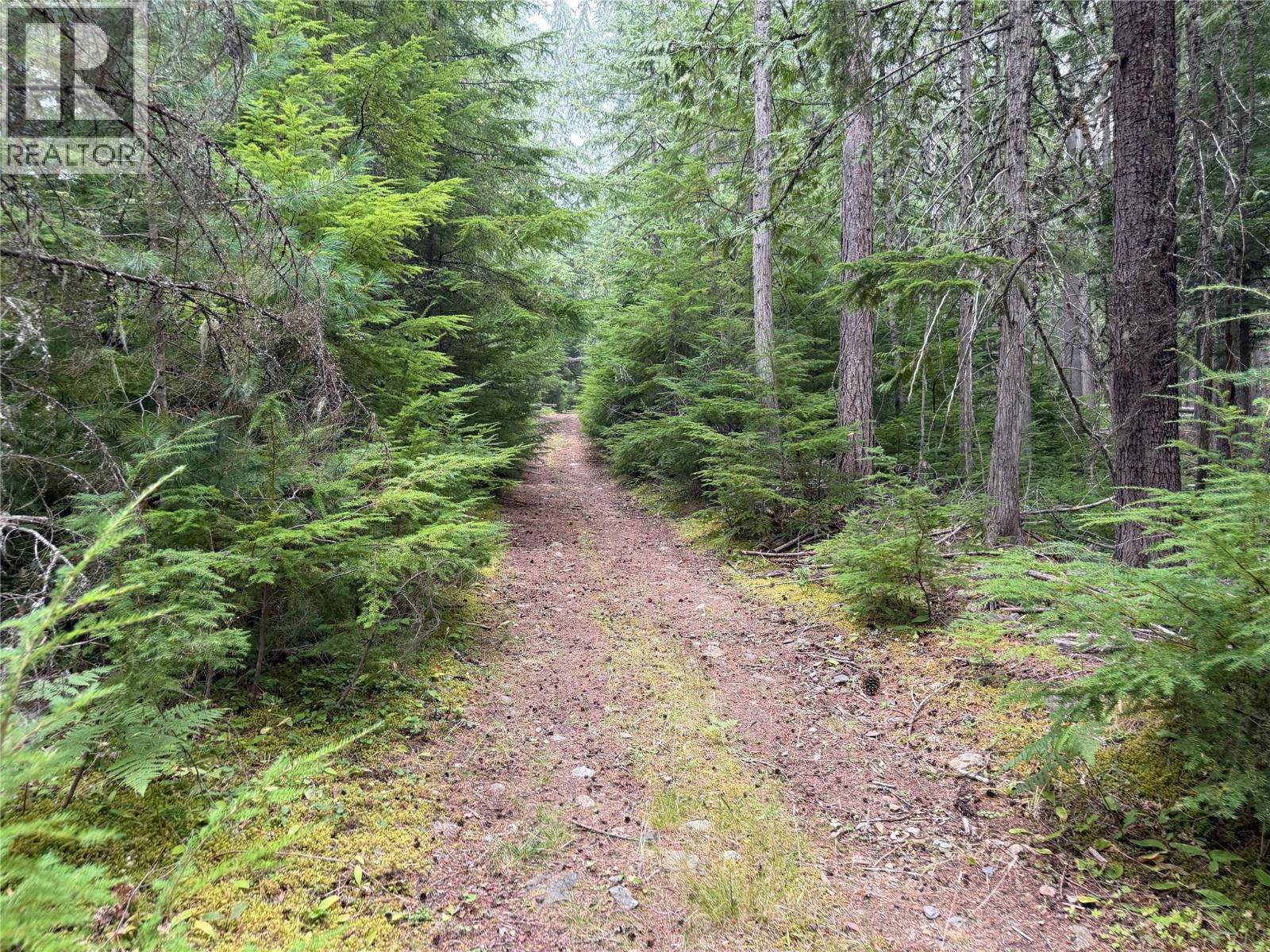 Harrop-Procter Road Lot# E, Procter, British Columbia  V1L 6R4 - Photo 5 - 10397801