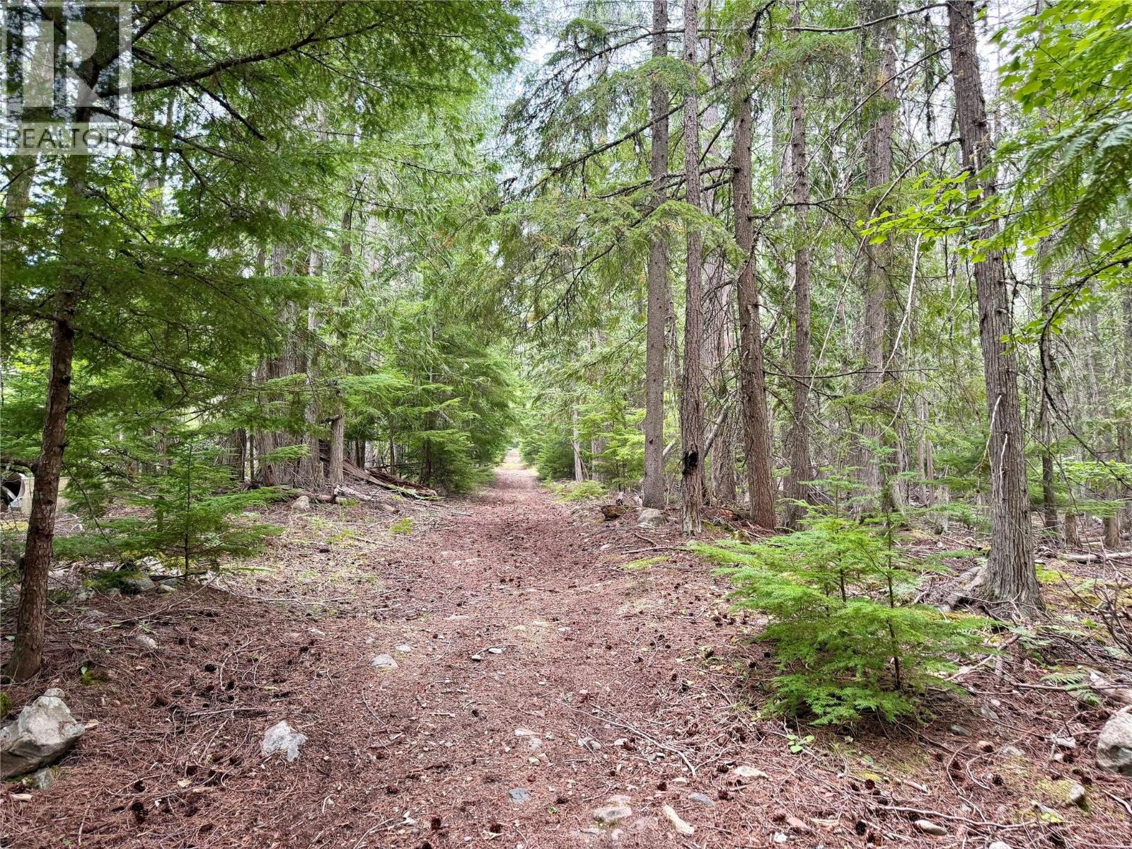 Harrop-Procter Road Lot# E, Procter, British Columbia  V1L 6R4 - Photo 6 - 10397801