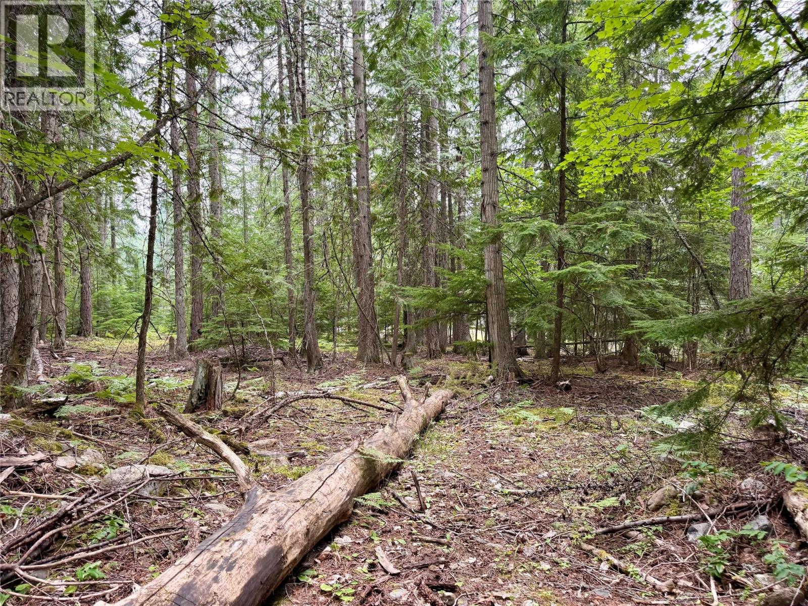 Harrop-Procter Road Lot# E, Procter, British Columbia  V1L 6R4 - Photo 7 - 10397801