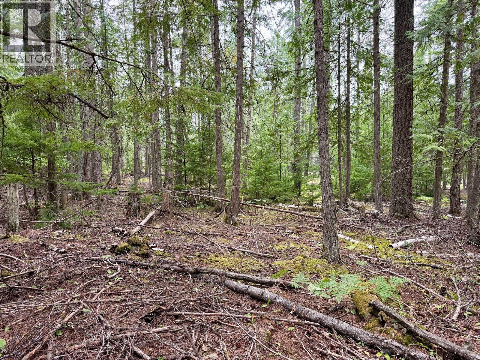 Harrop-Procter Road Lot# E, Procter, British Columbia  V1L 6R4 - Photo 8 - 10397801