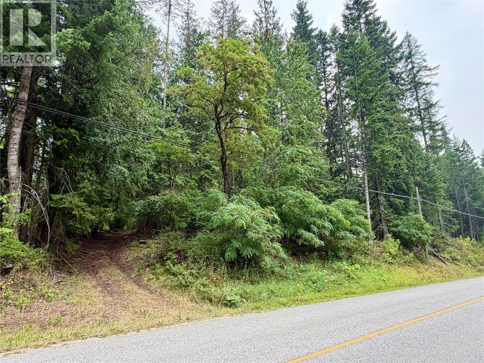 Harrop-Procter Road Lot# E, Procter, British Columbia  V1L 6R4 - Photo 9 - 10397801
