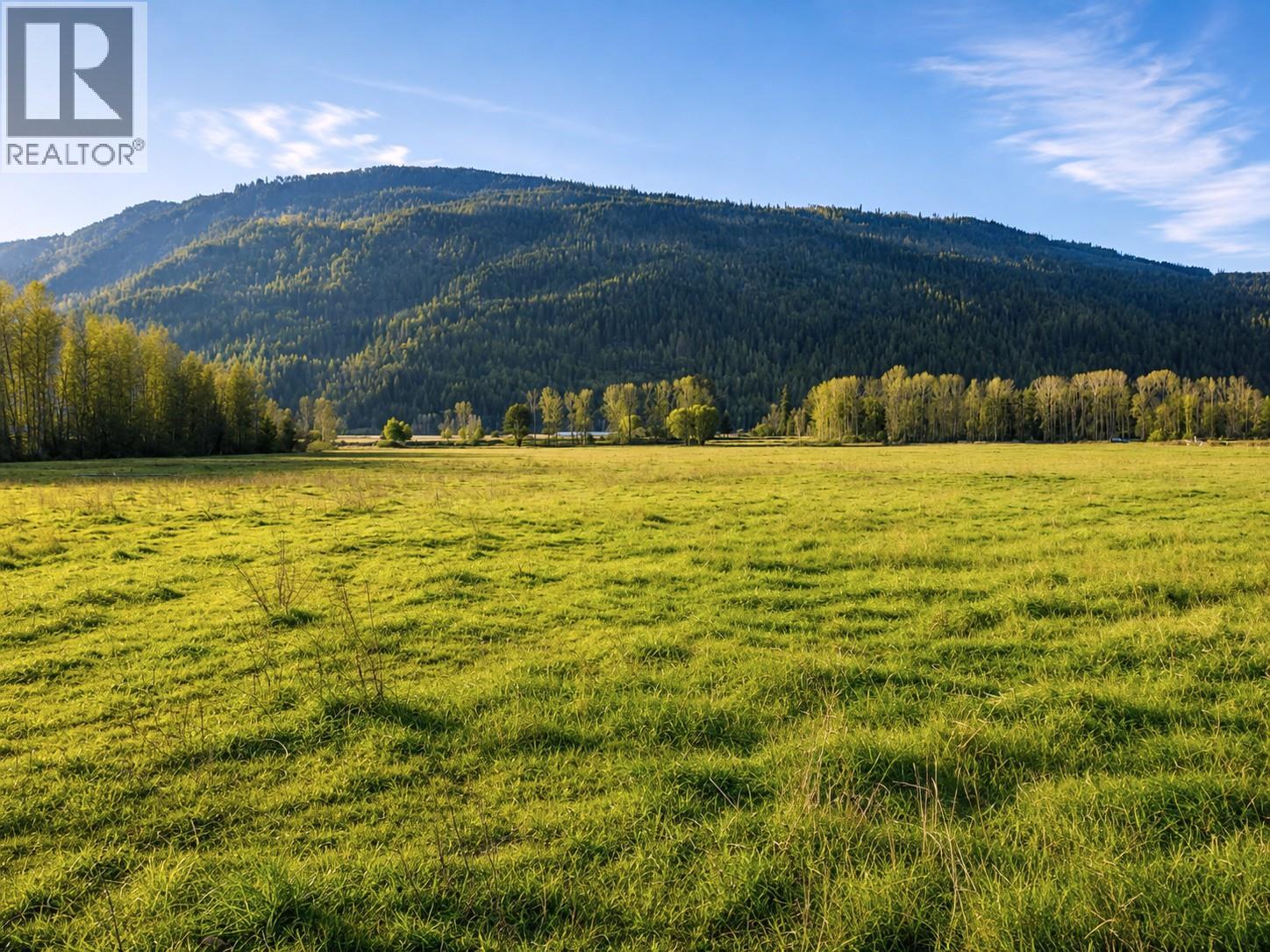 110 Parsons Road, Mara, British Columbia  V0E 2K0 - Photo 1 - 10397887