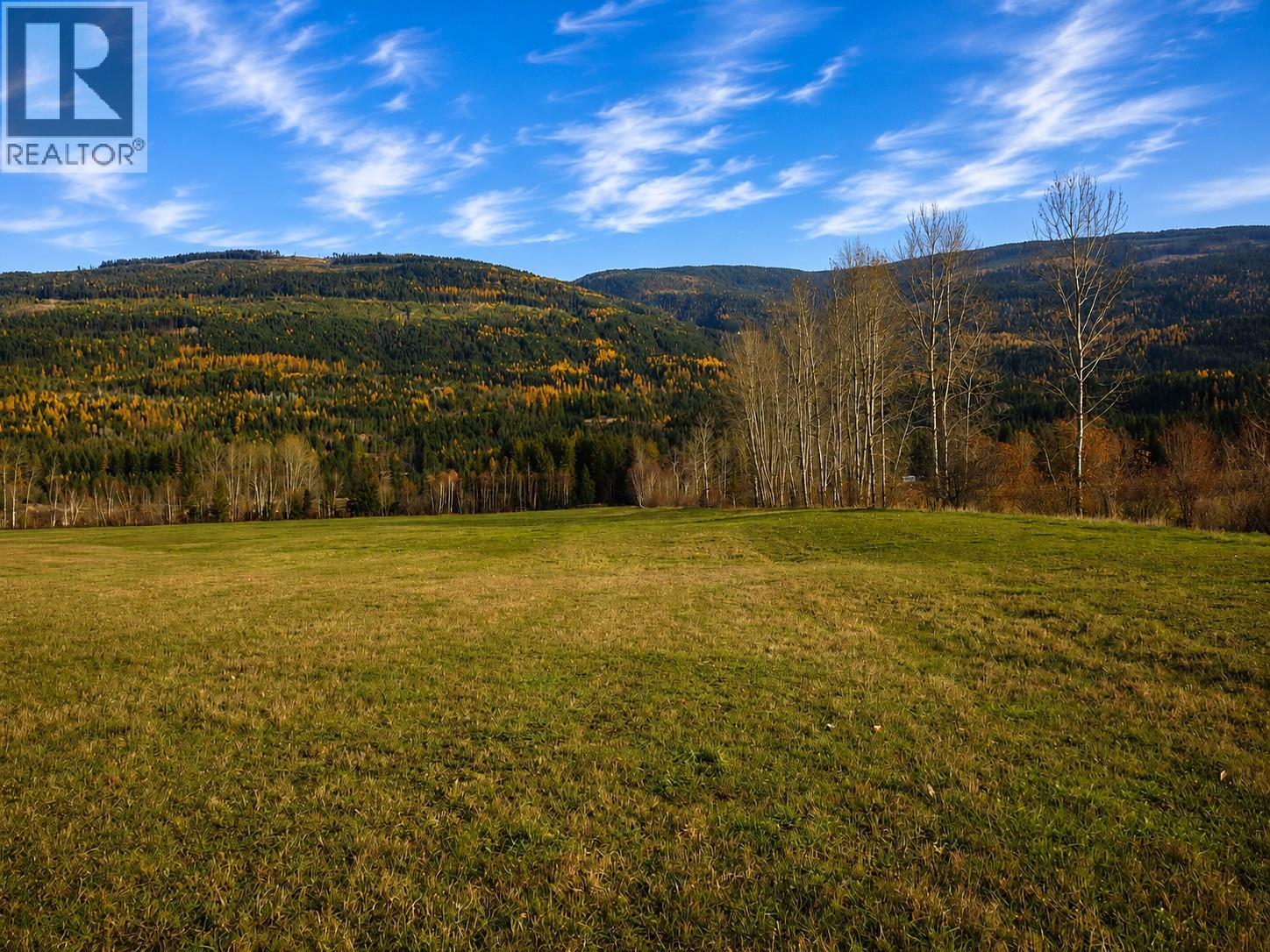110 Parsons Road, Mara, British Columbia  V0E 2K0 - Photo 10 - 10397887