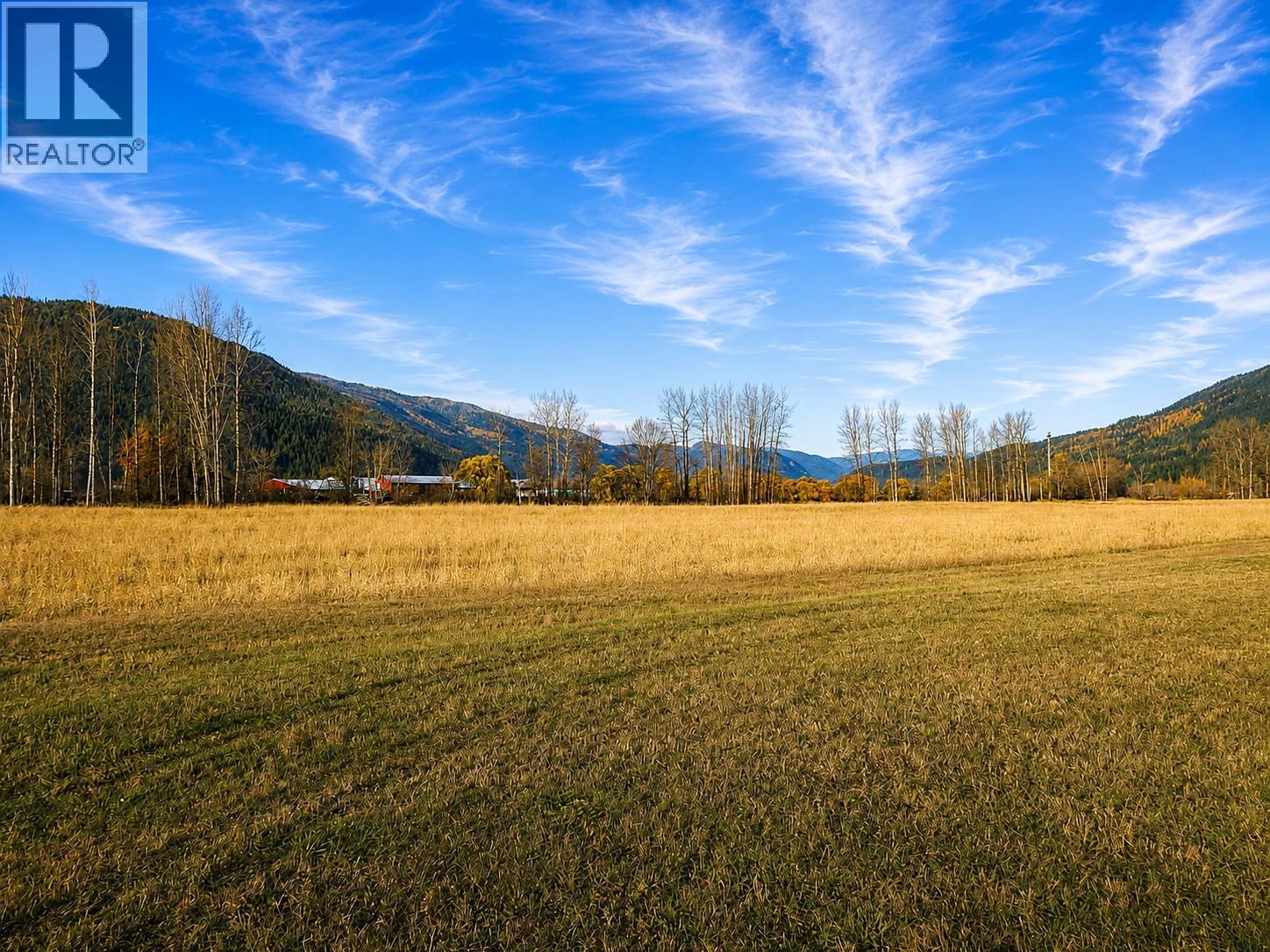 110 Parsons Road, Mara, British Columbia  V0E 2K0 - Photo 11 - 10397887