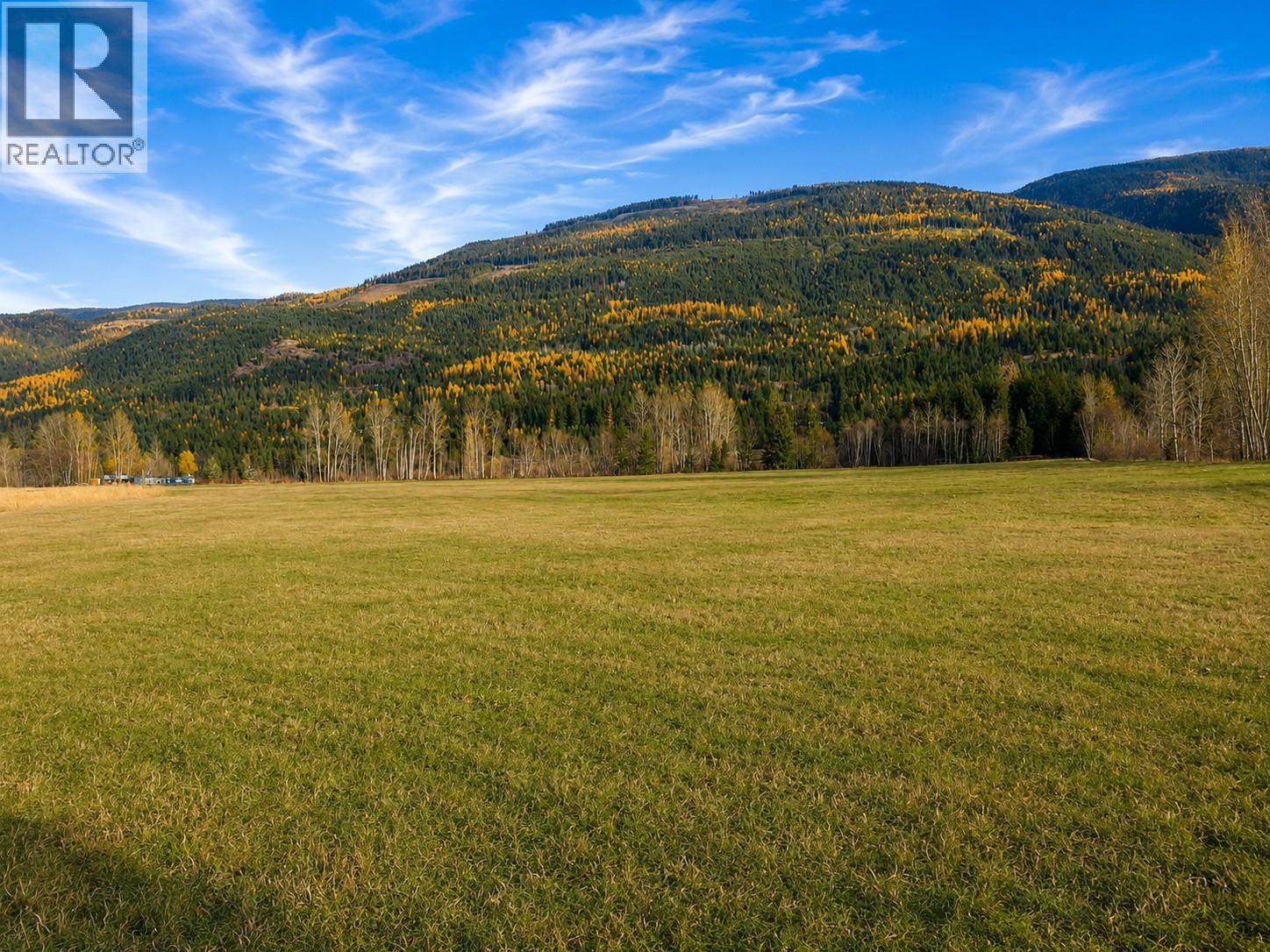 110 Parsons Road, Mara, British Columbia  V0E 2K0 - Photo 12 - 10397887