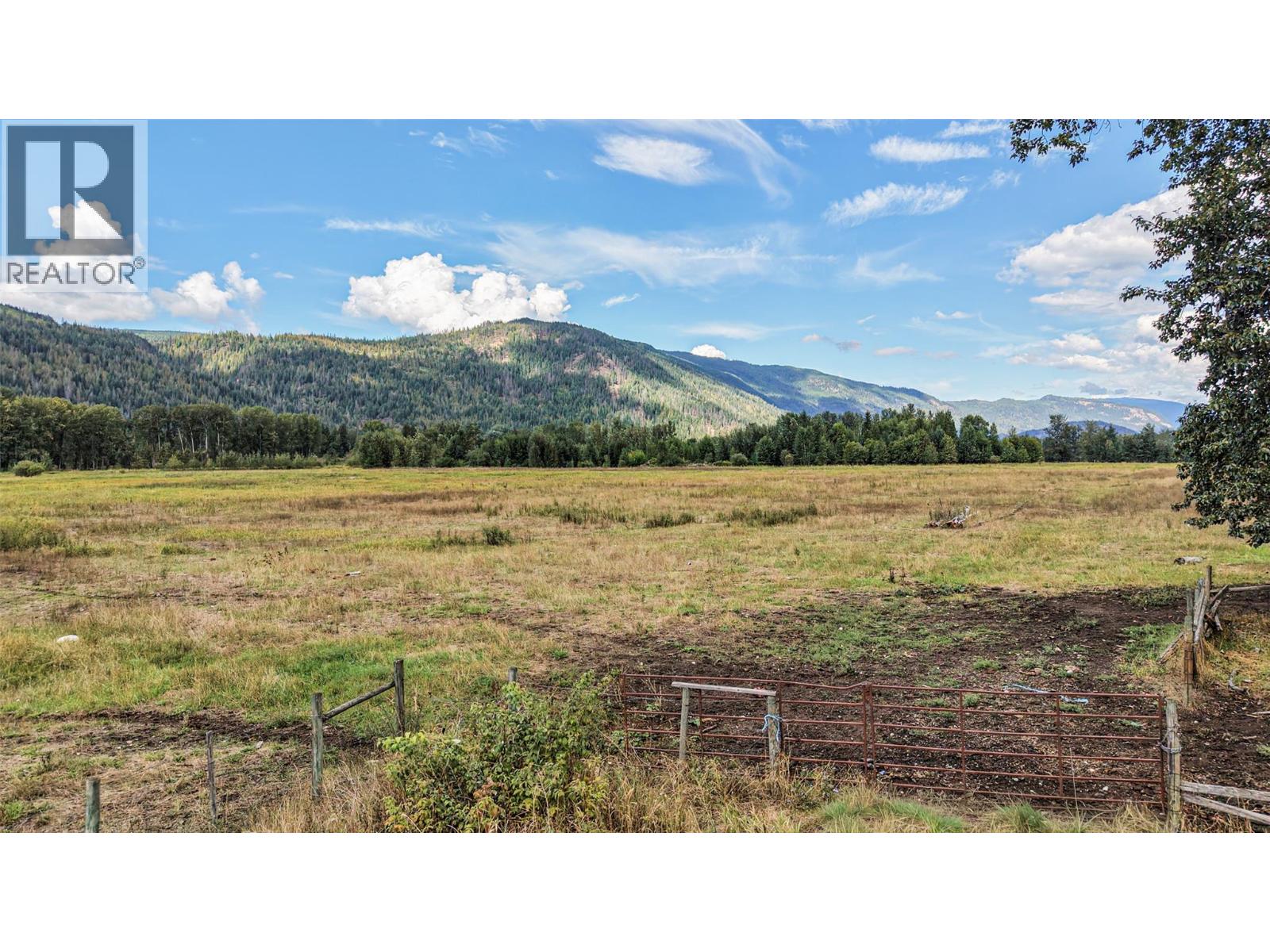 110 Parsons Road, Mara, British Columbia  V0E 2K0 - Photo 28 - 10397887