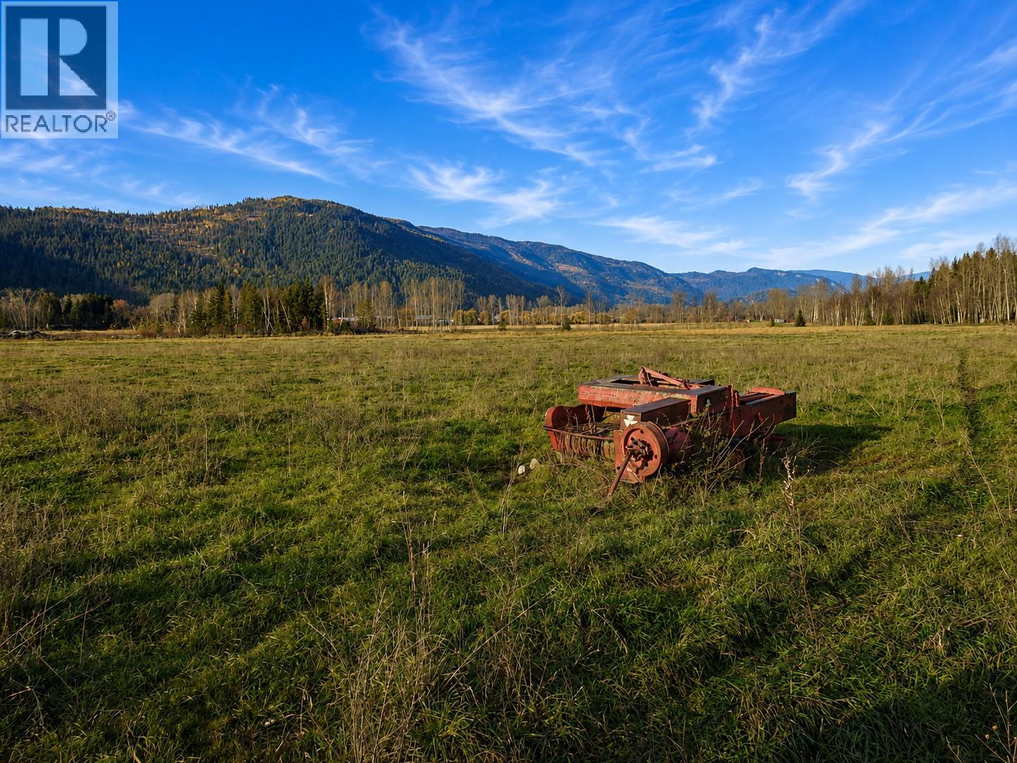 110 Parsons Road, Mara, British Columbia  V0E 2K0 - Photo 3 - 10397887