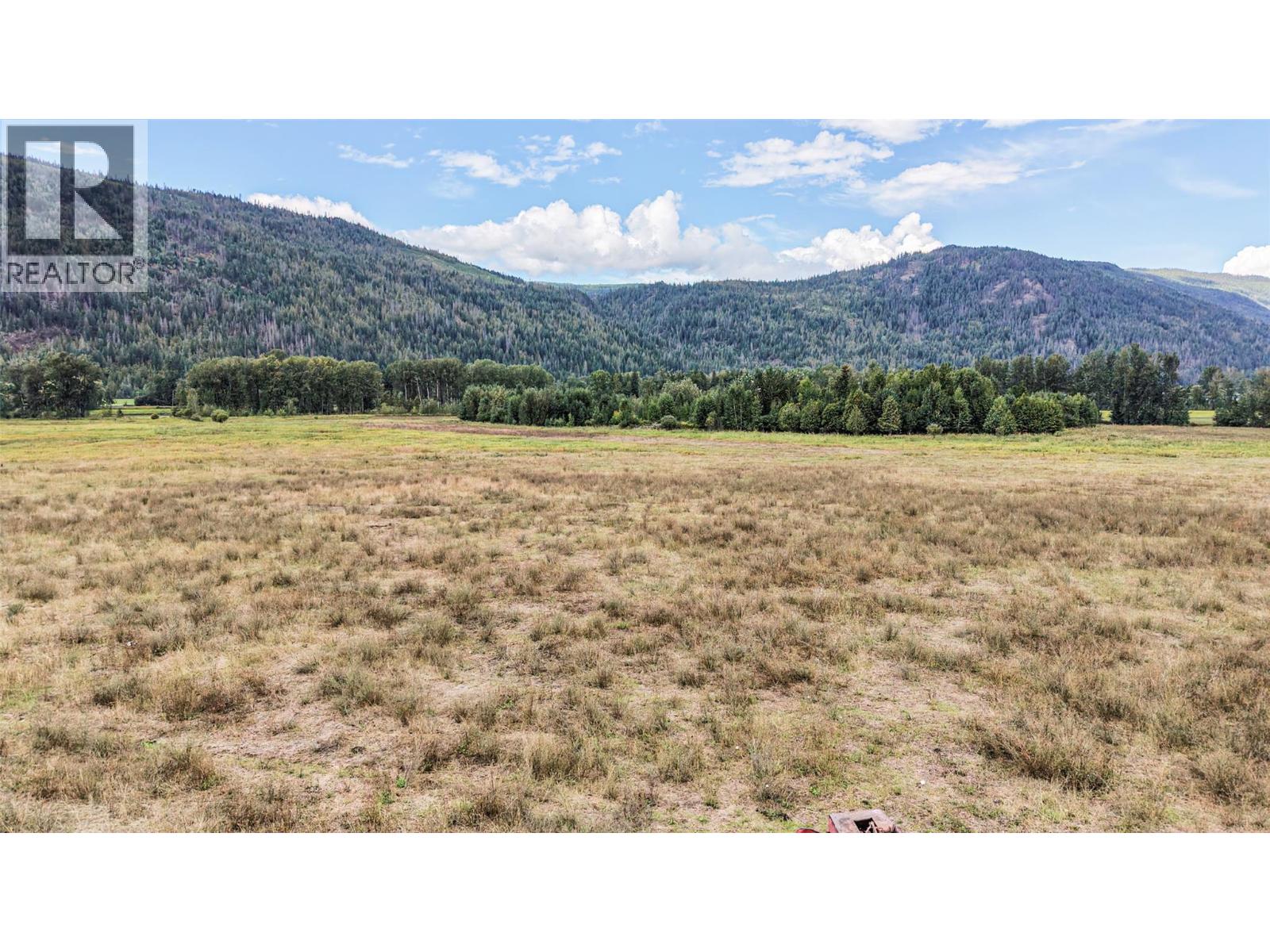110 Parsons Road, Mara, British Columbia  V0E 2K0 - Photo 31 - 10397887