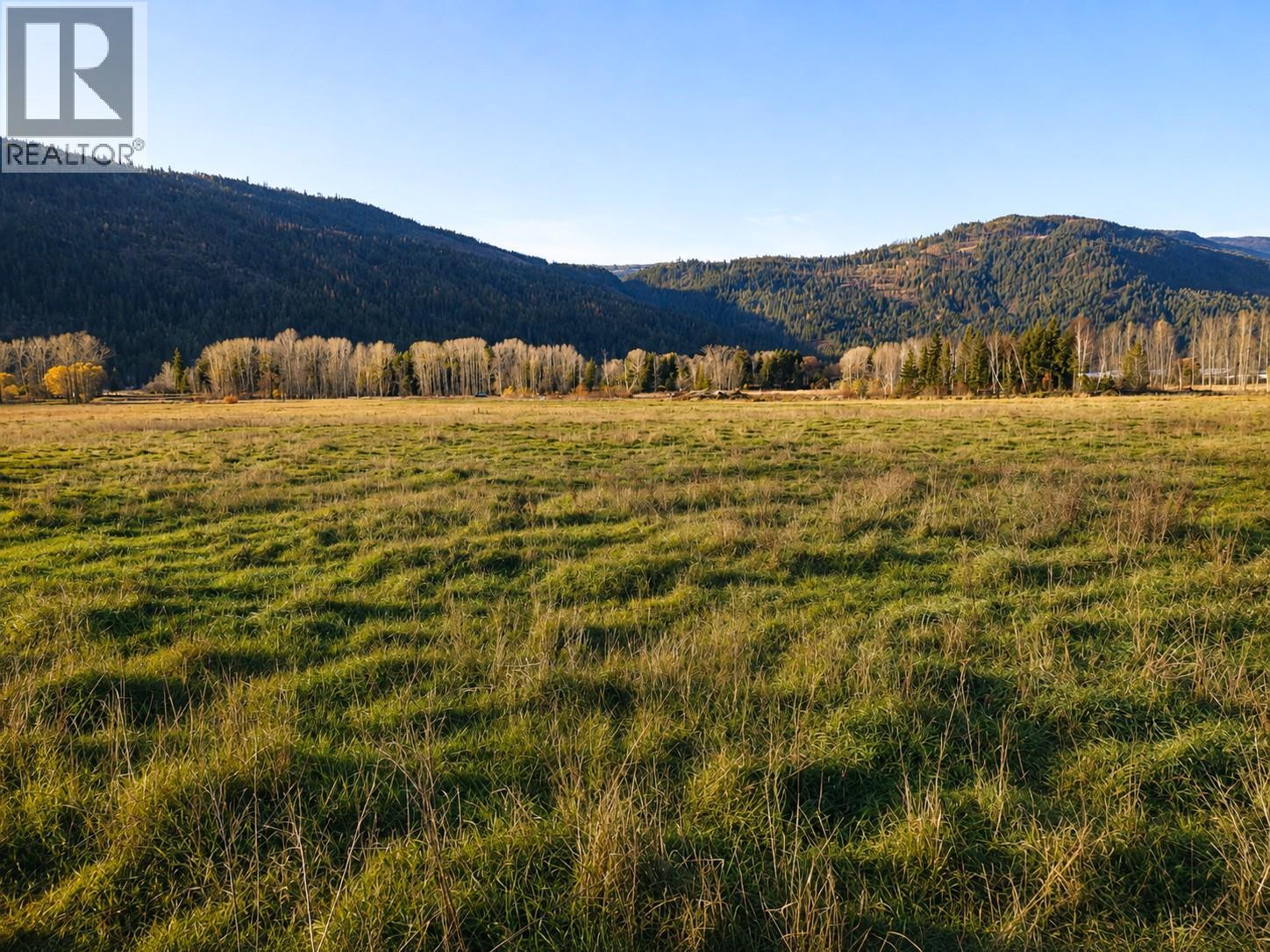 110 Parsons Road, Mara, British Columbia  V0E 2K0 - Photo 4 - 10397887