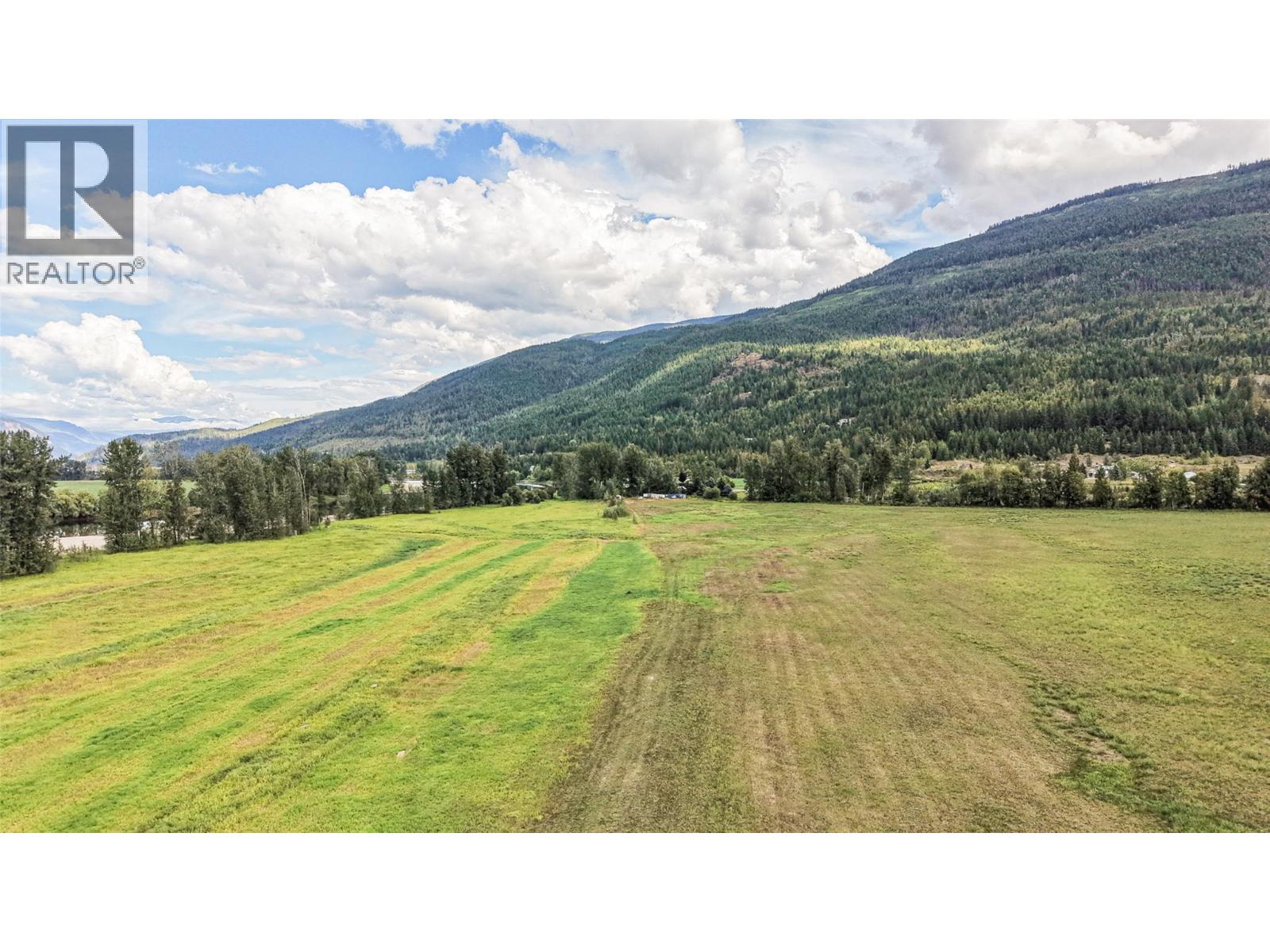 110 Parsons Road, Mara, British Columbia  V0E 2K0 - Photo 40 - 10397887