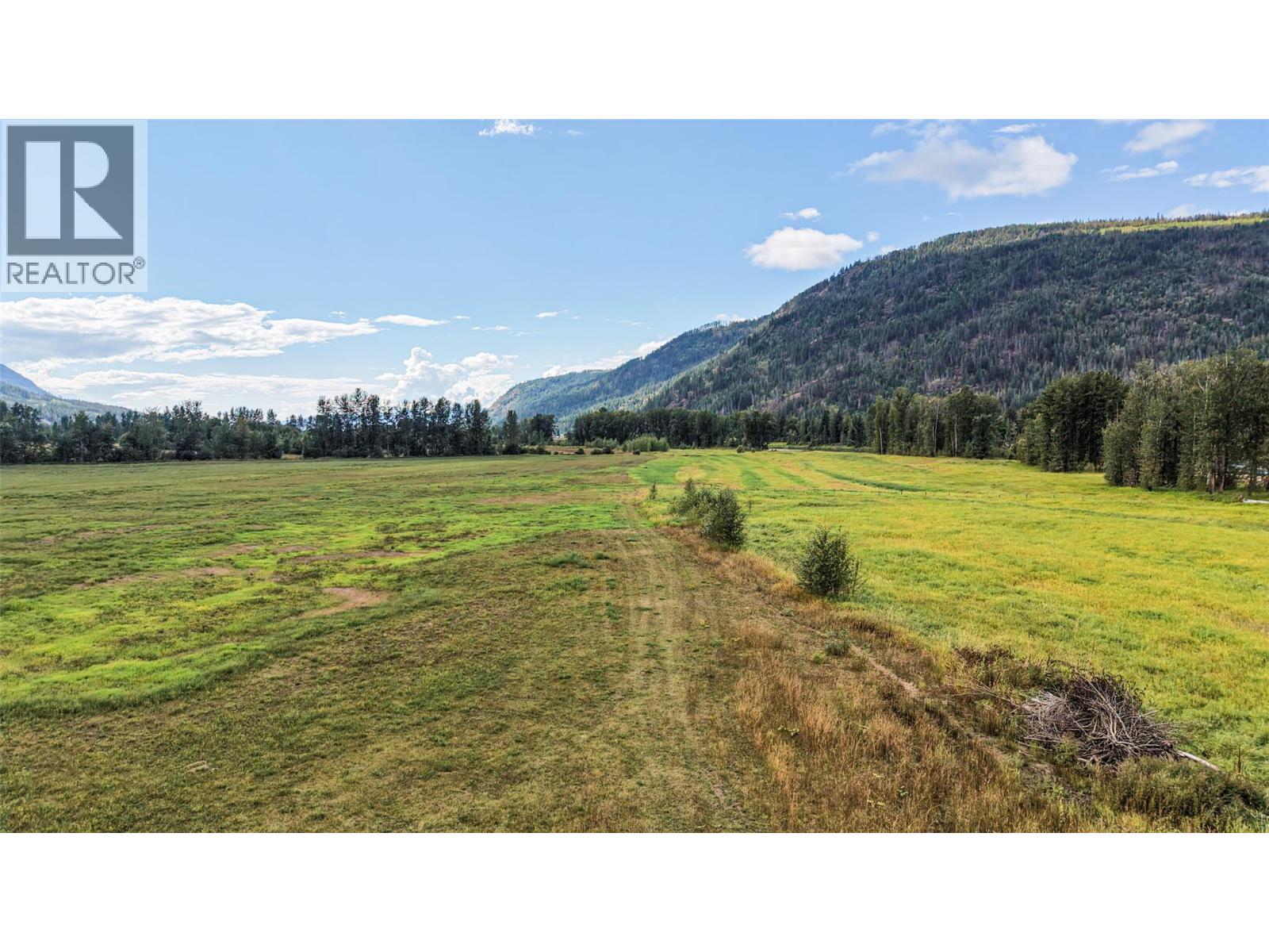 110 Parsons Road, Mara, British Columbia  V0E 2K0 - Photo 43 - 10397887