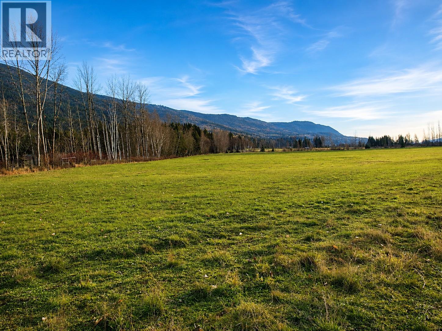 110 Parsons Road, Mara, British Columbia  V0E 2K0 - Photo 6 - 10397887