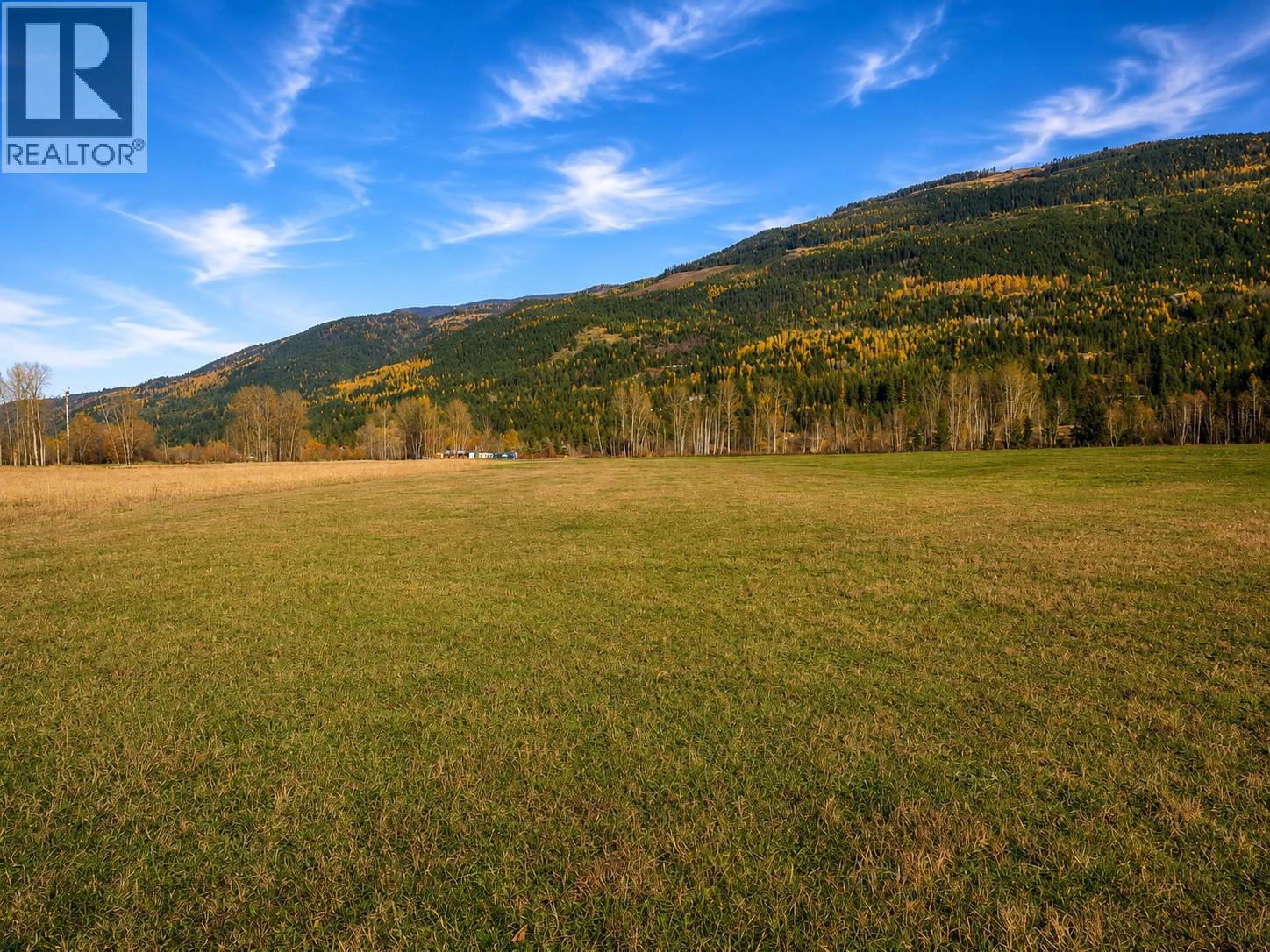 110 Parsons Road, Mara, British Columbia  V0E 2K0 - Photo 8 - 10397887