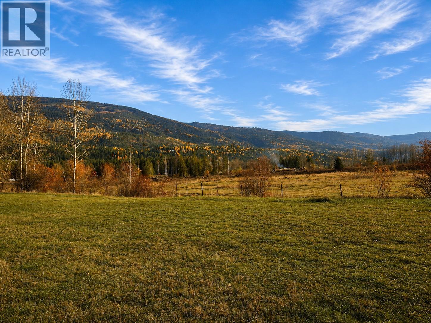 110 Parsons Road, Mara, British Columbia  V0E 2K0 - Photo 9 - 10397887