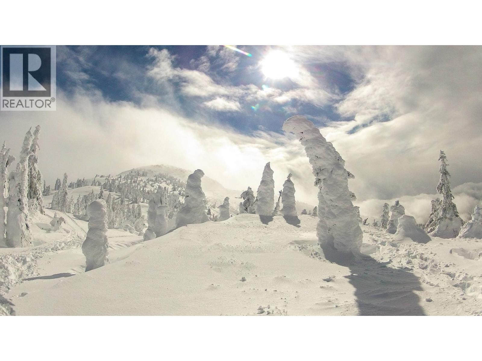 355 Feathertop Way, Big White, British Columbia  V1P 1P3 - Photo 23 - 10397949