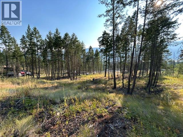 Lot 12 Csokony Road, Spur Valley, British Columbia  V0A 1E0 - Photo 1 - 10397956