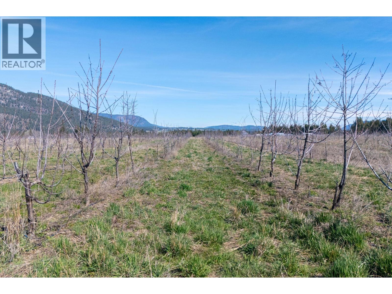 1448 Otter Lake Cross Road, Spallumcheen, British Columbia  V0E 1B5 - Photo 5 - 10397991