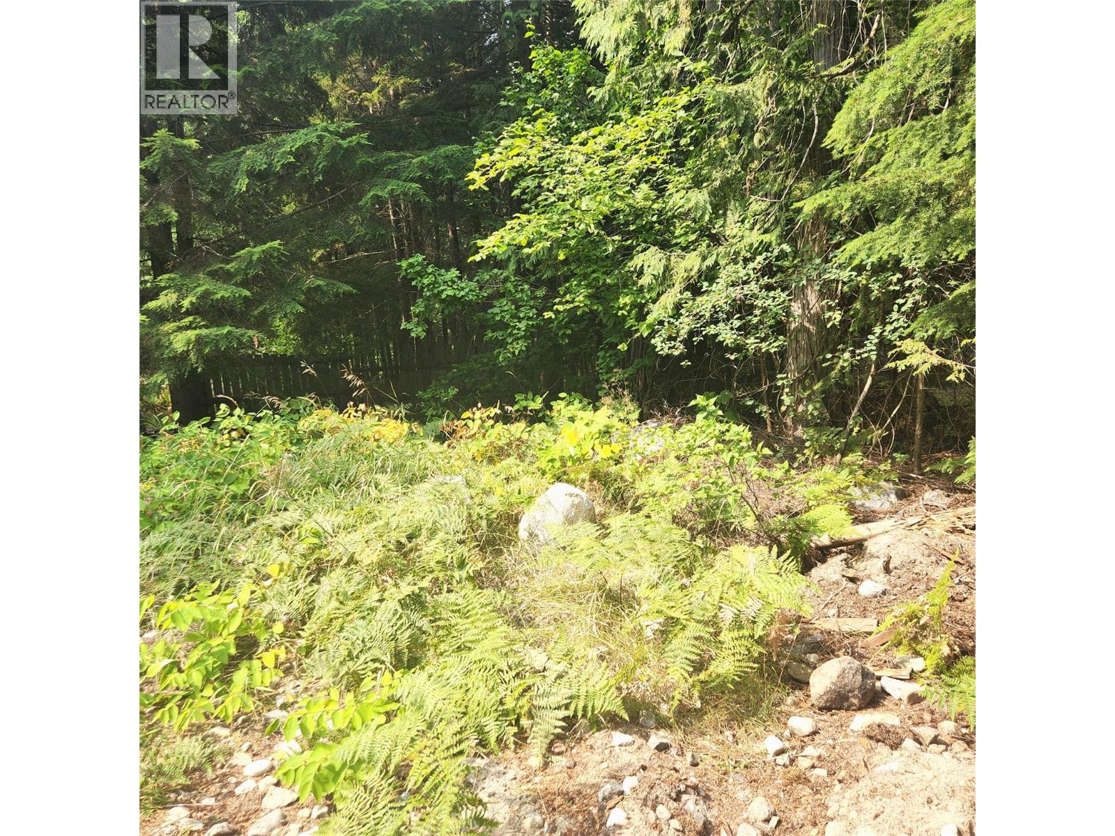 1111 Harold Street, Slocan, British Columbia  V0G 2C0 - Photo 2 - 10397909