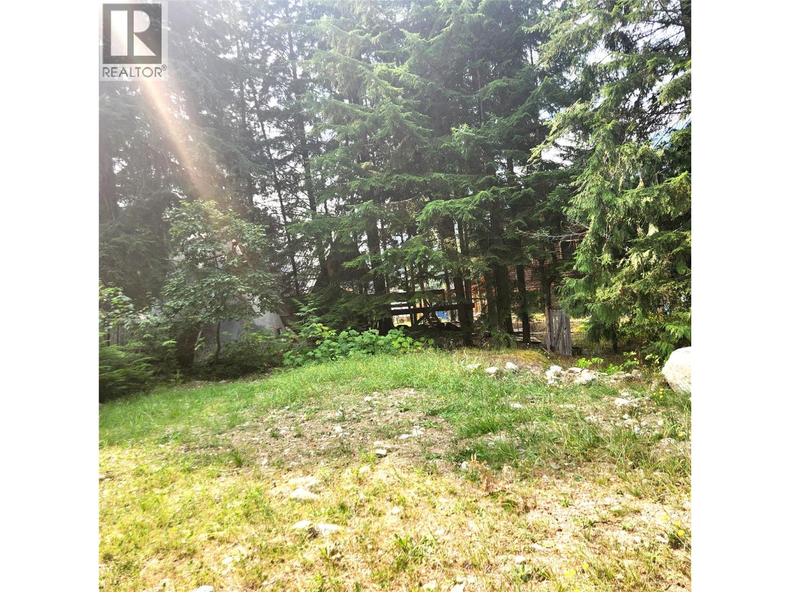 1111 Harold Street, Slocan, British Columbia  V0G 2C0 - Photo 3 - 10397909