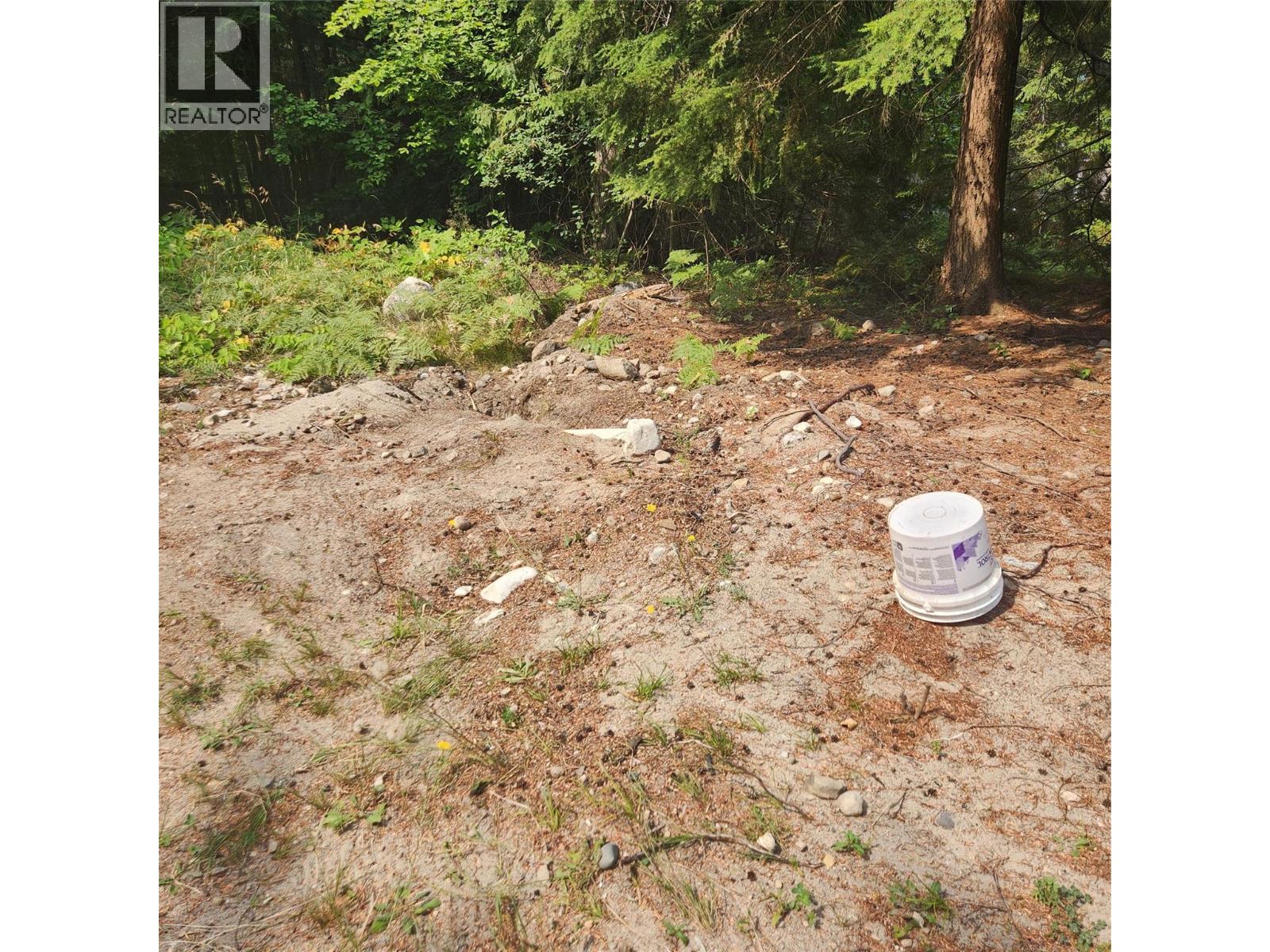 1111 Harold Street, Slocan, British Columbia  V0G 2C0 - Photo 5 - 10397909