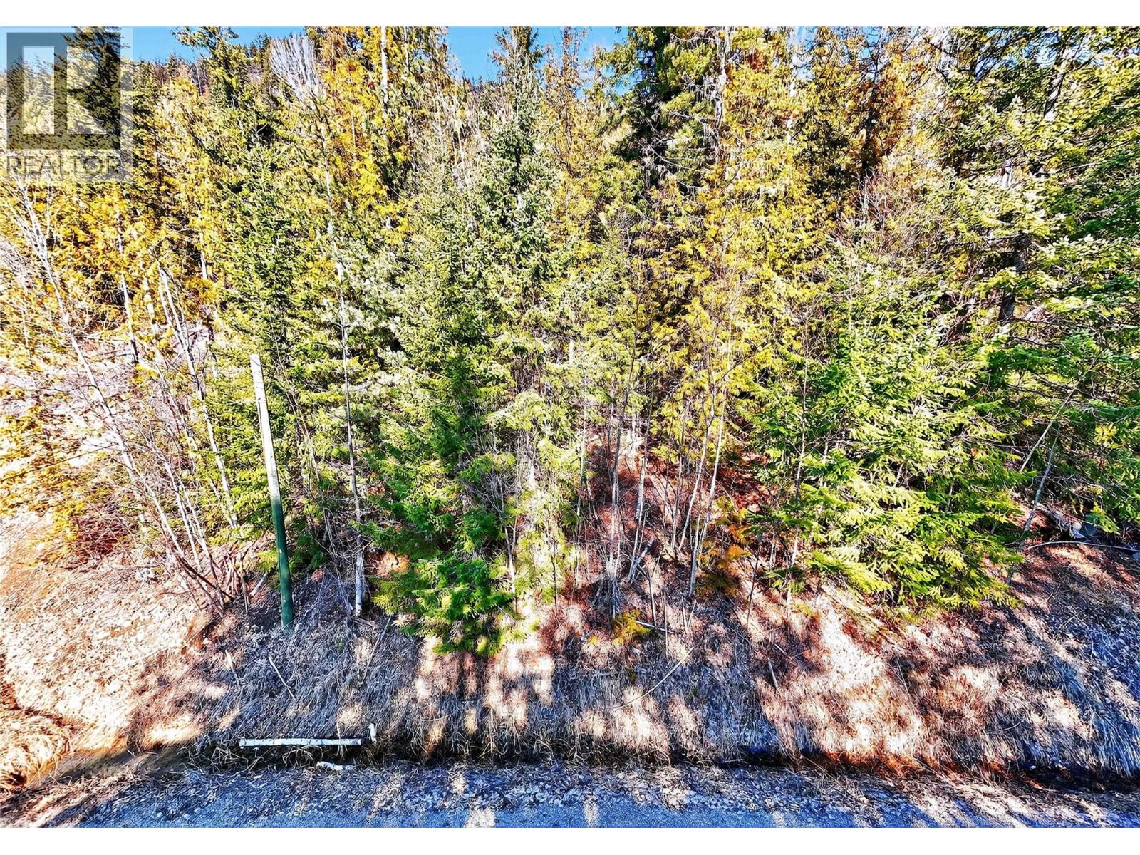 Castle Heights Lot# 53, Anglemont, British Columbia  V0E 1M8 - Photo 18 - 10398035