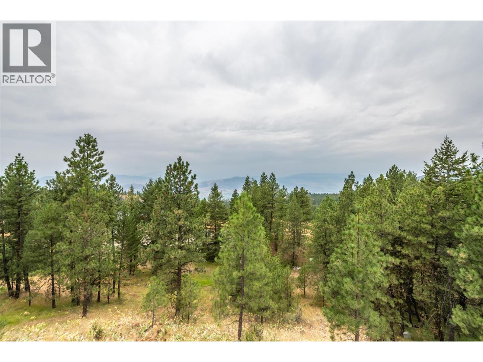 180 Peregrine Court, Osoyoos, British Columbia  V0H 1V6 - Photo 38 - 10398031