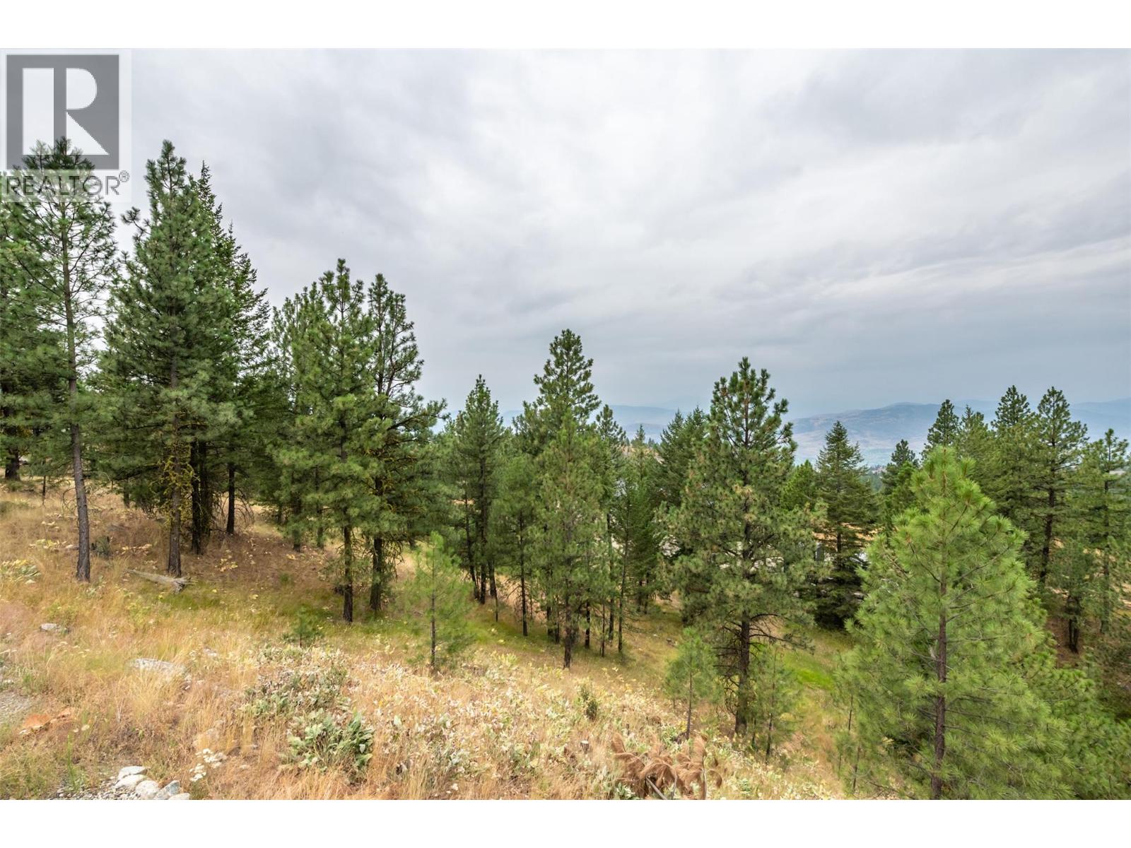 180 Peregrine Court, Osoyoos, British Columbia  V0H 1V6 - Photo 39 - 10398031