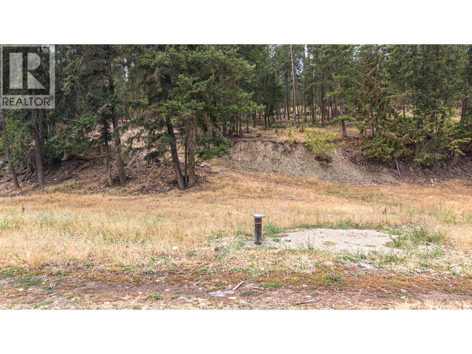 Lot A Dure Meadow S. Road, Lumby, British Columbia  V0E 2G7 - Photo 2 - 10398030