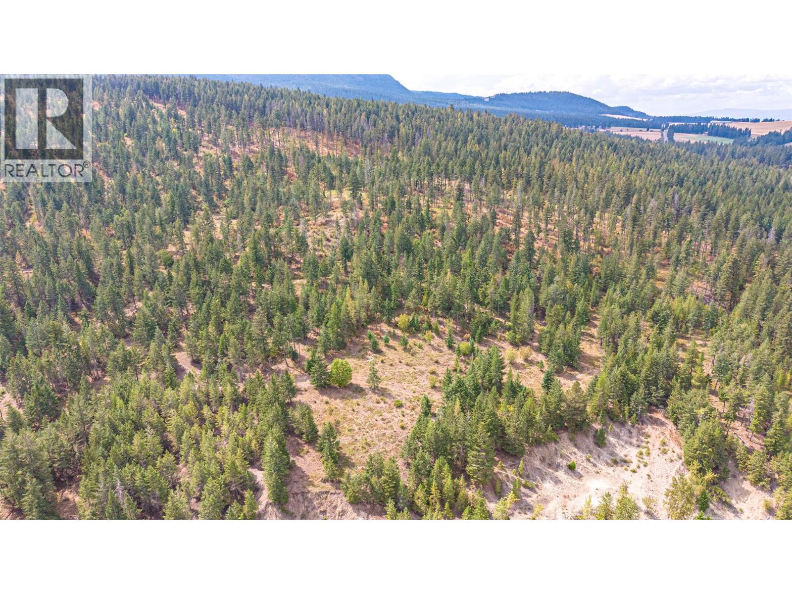 Lot A Dure Meadow S. Road, Lumby, British Columbia  V0E 2G7 - Photo 29 - 10398030