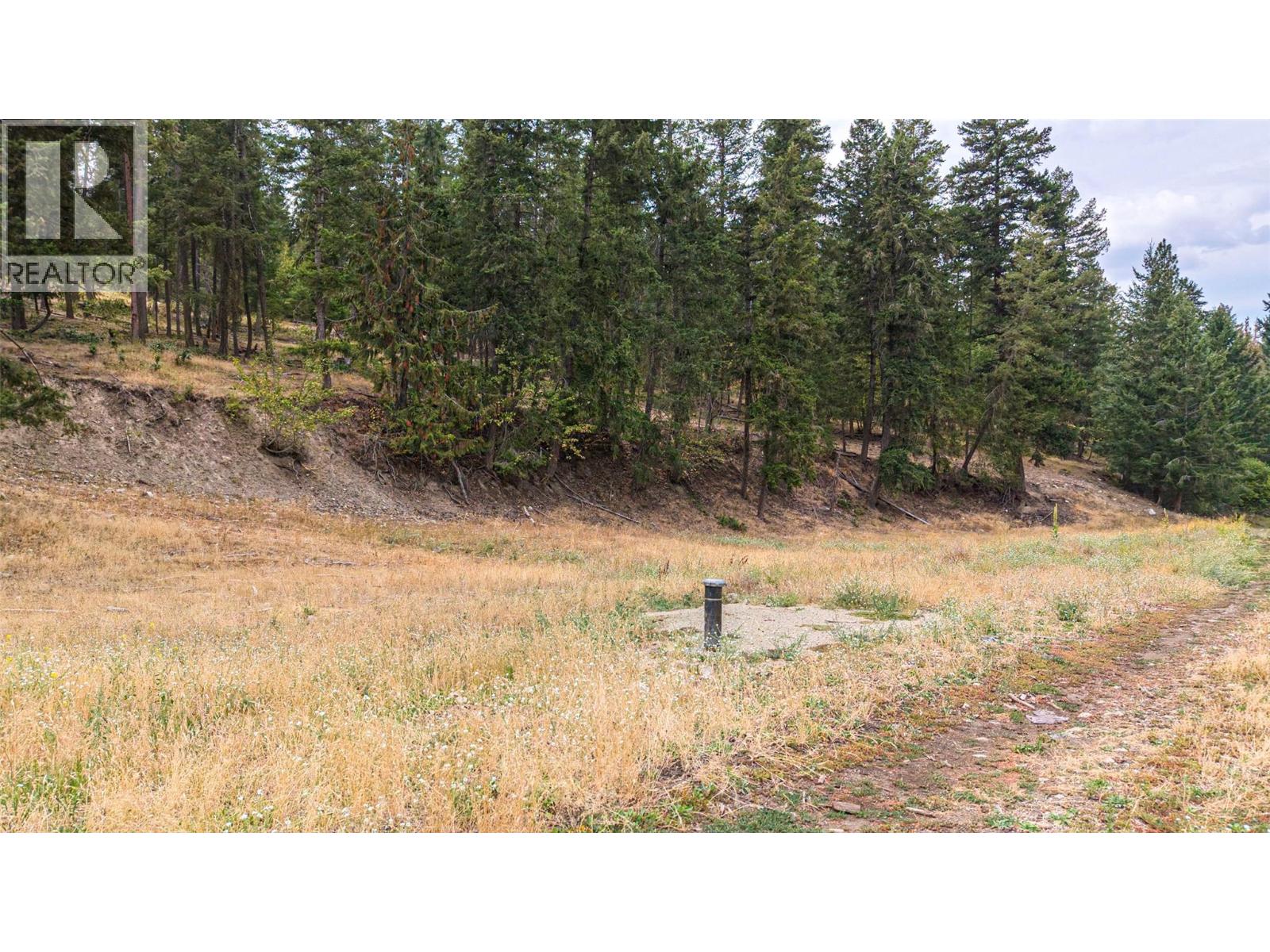 Lot A Dure Meadow S. Road, Lumby, British Columbia  V0E 2G7 - Photo 3 - 10398030