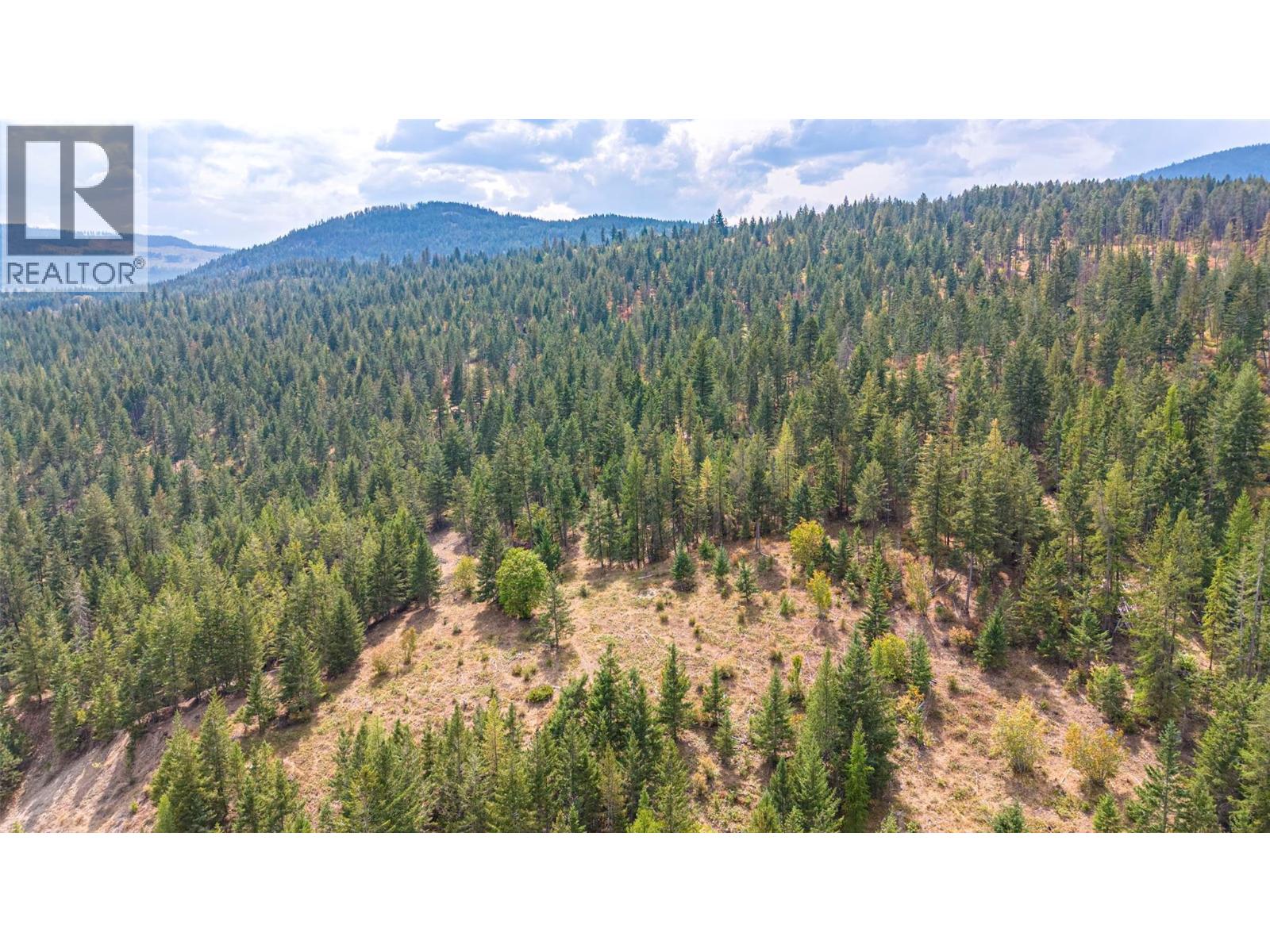 Lot A Dure Meadow S. Road, Lumby, British Columbia  V0E 2G7 - Photo 41 - 10398030