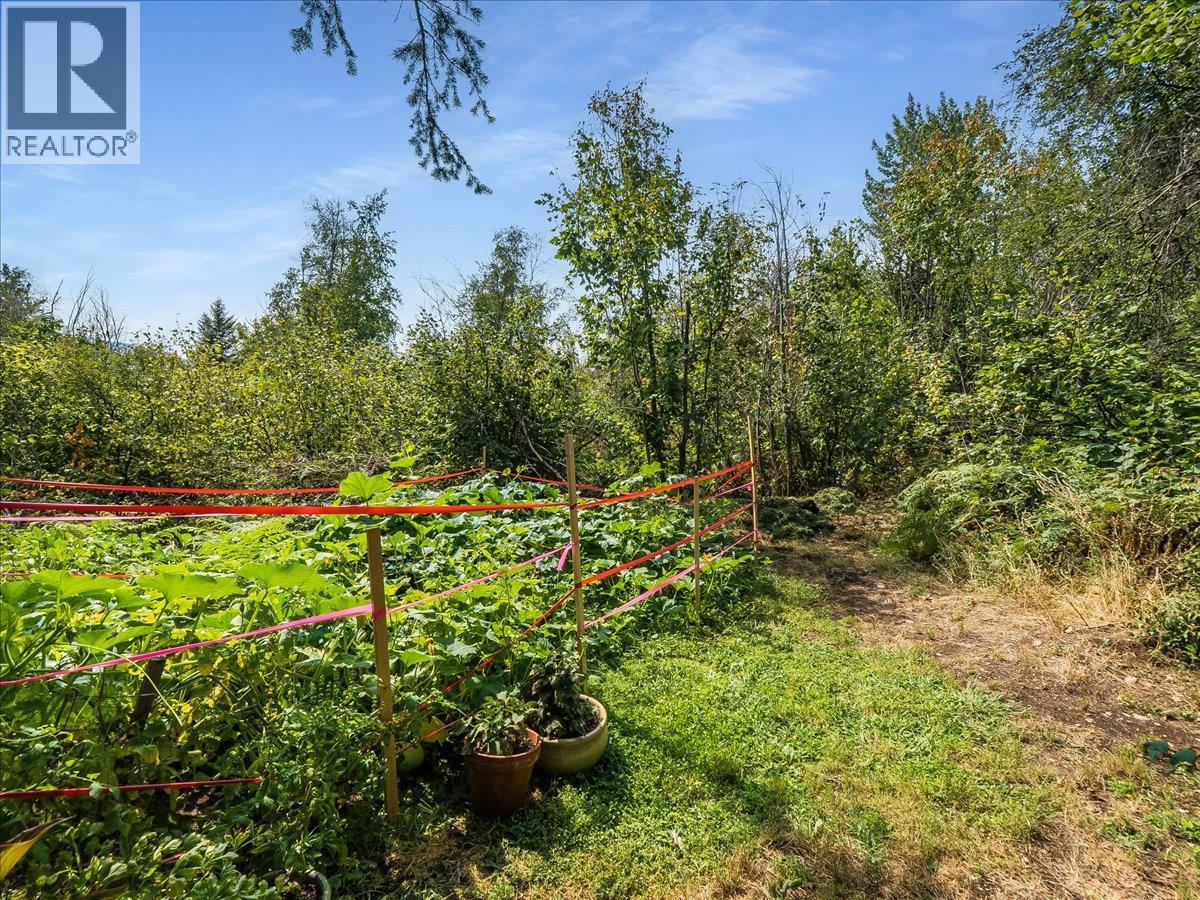 3617 14th Avenue, Castlegar, British Columbia  V1N 4J2 - Photo 75 - 10398027